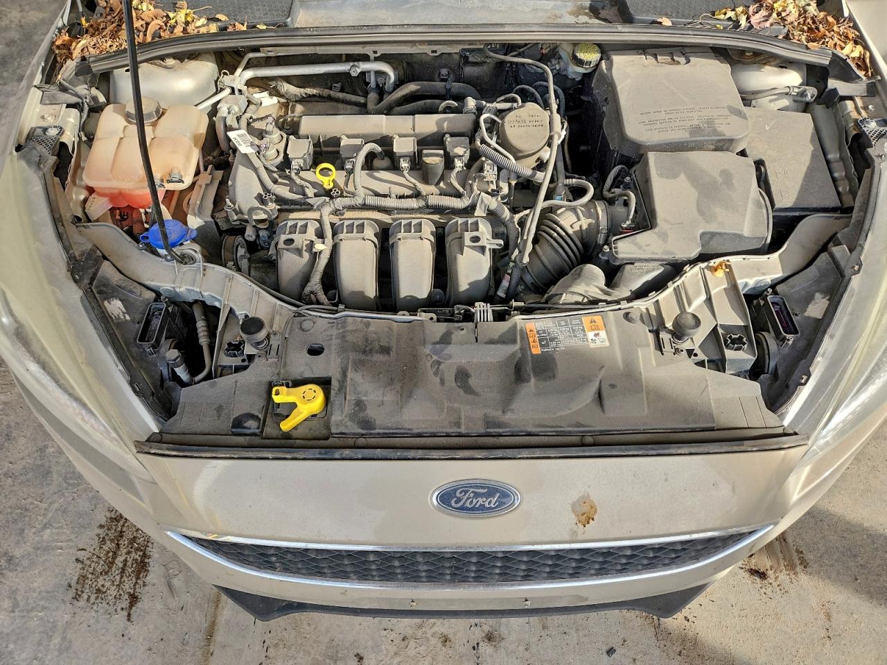 2015 FORD FOCUS SE photo 11