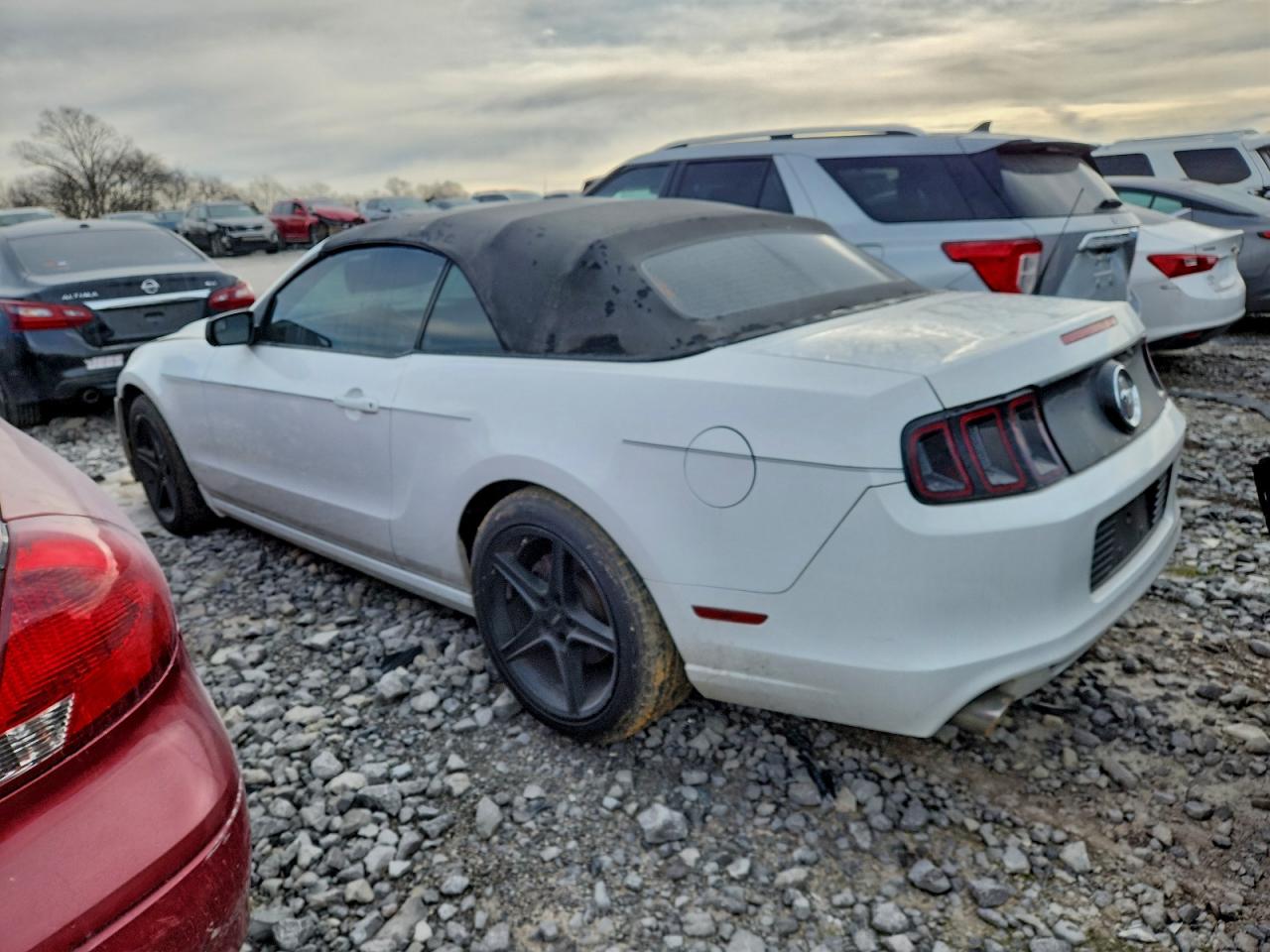 2014 FORD MUSTANG photo 2