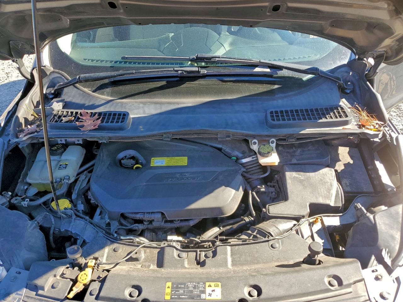 2013 FORD ESCAPE SE photo 12