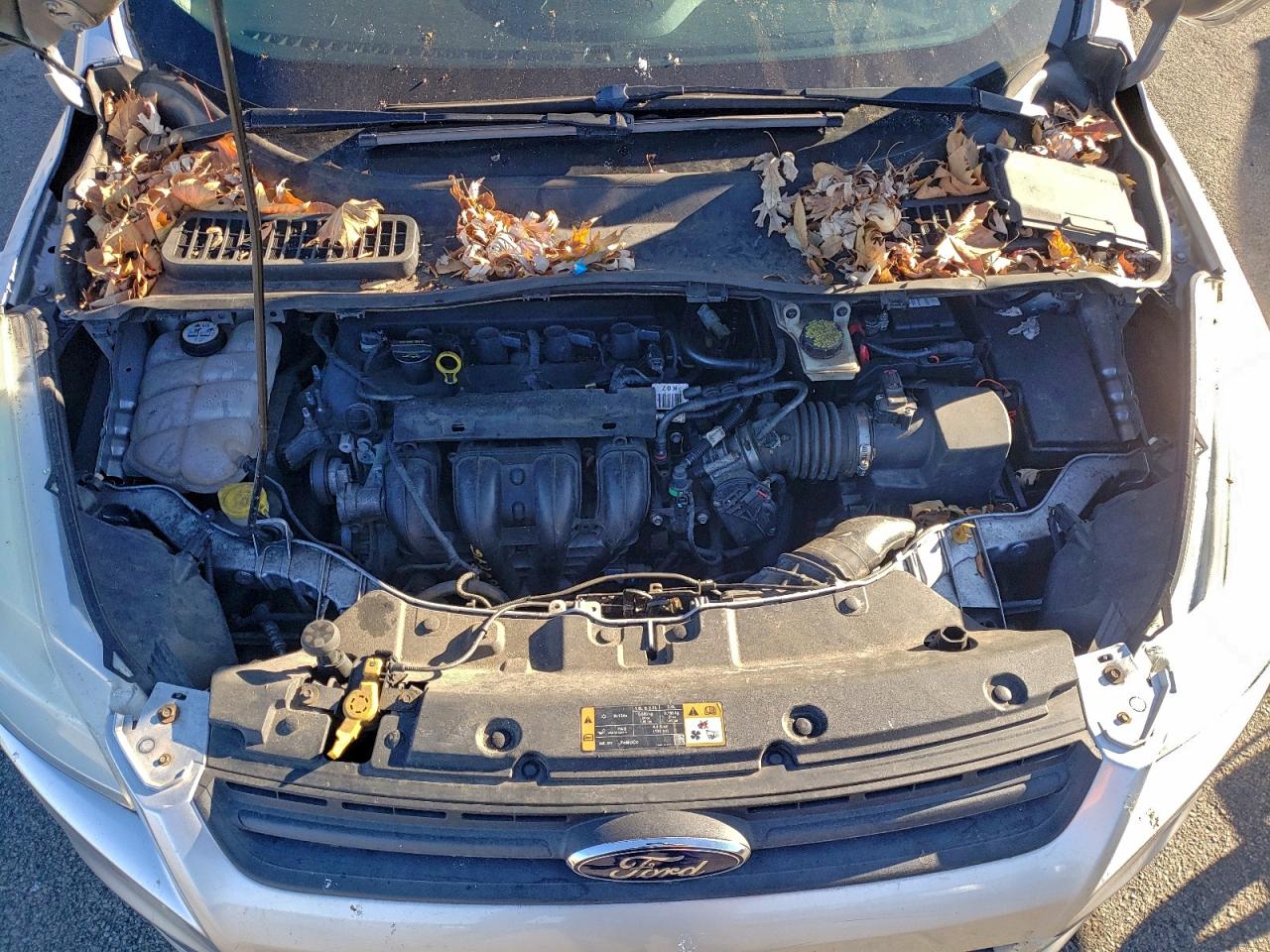 2014 FORD ESCAPE S photo 12