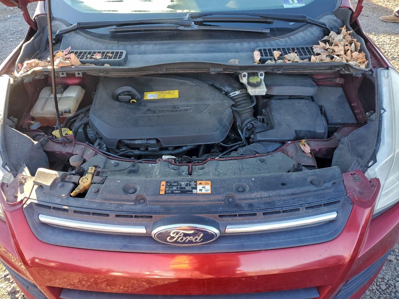 2015 FORD ESCAPE SE photo 12