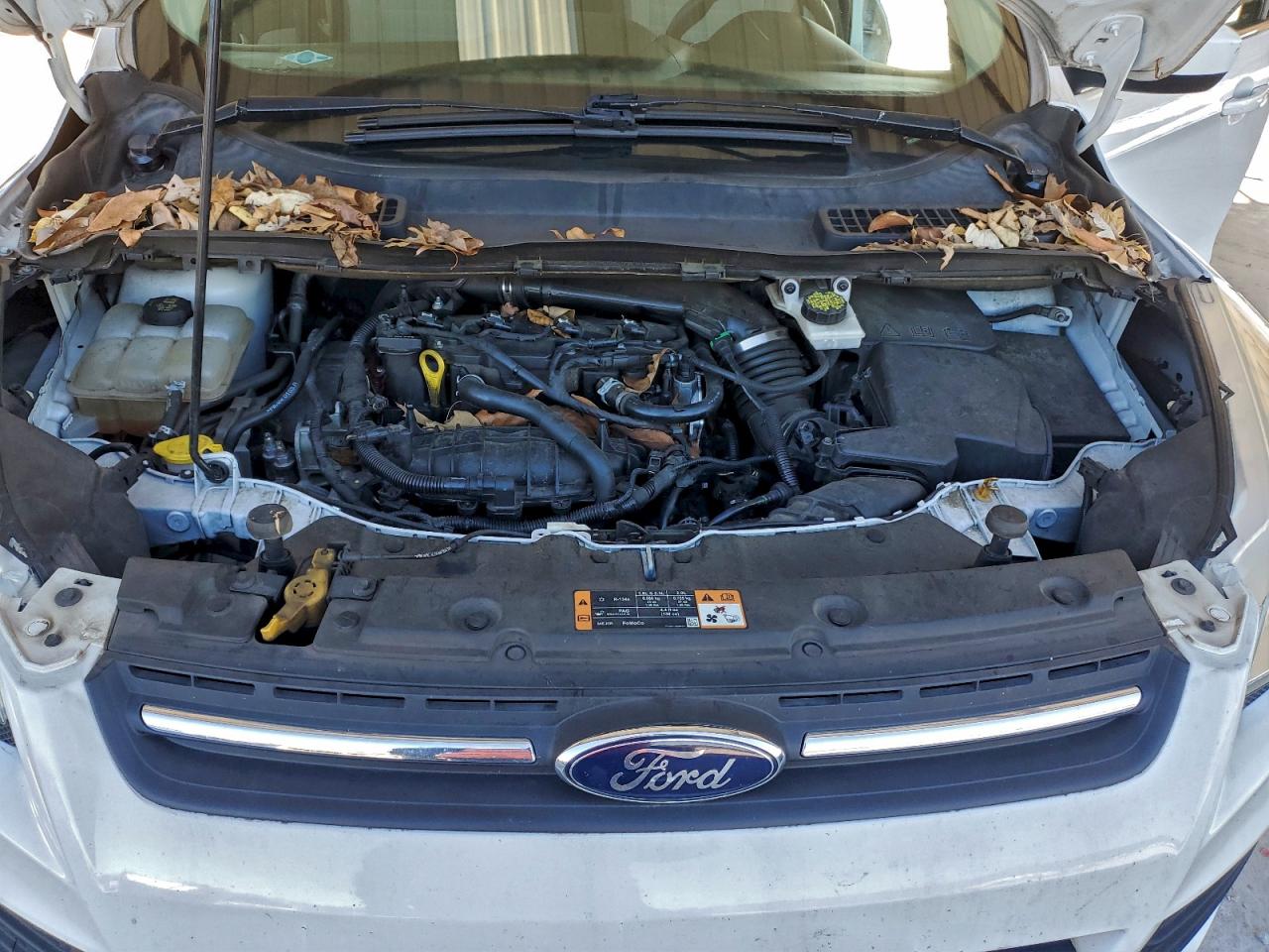 2016 FORD ESCAPE SE photo 11