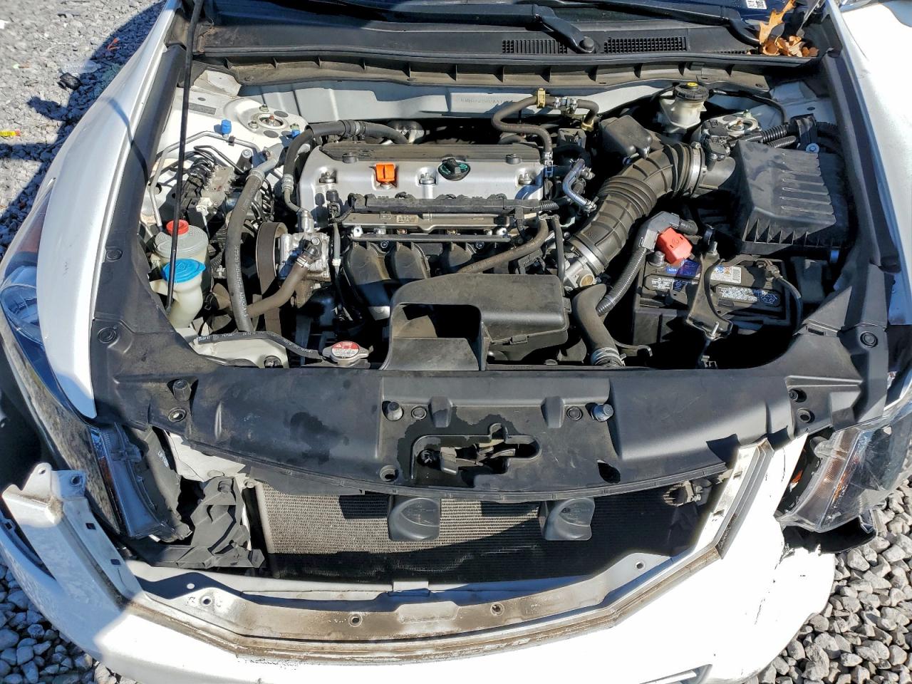 2010 HONDA ACCORD LXP photo 11