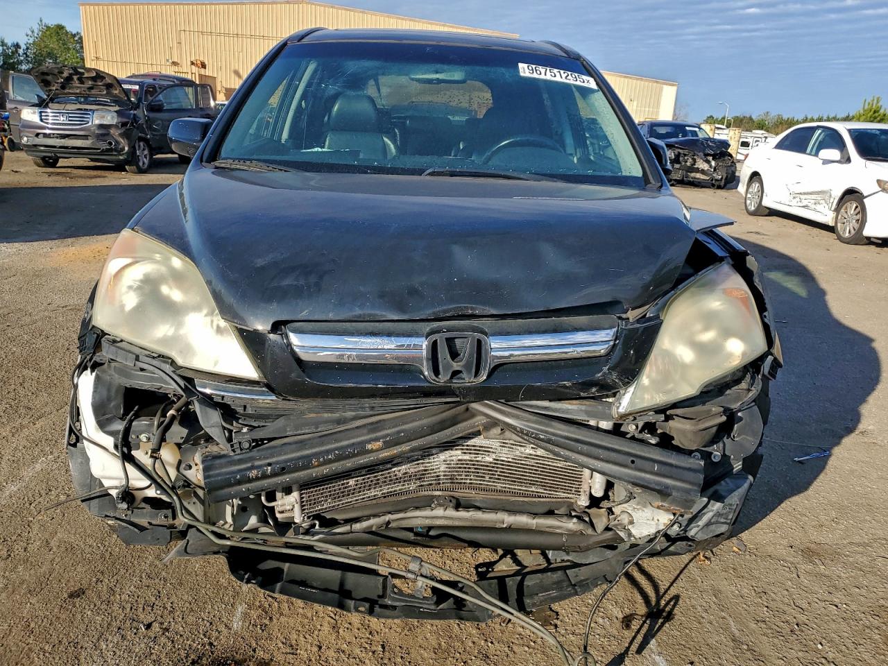 2008 HONDA CR-V EXL photo 5