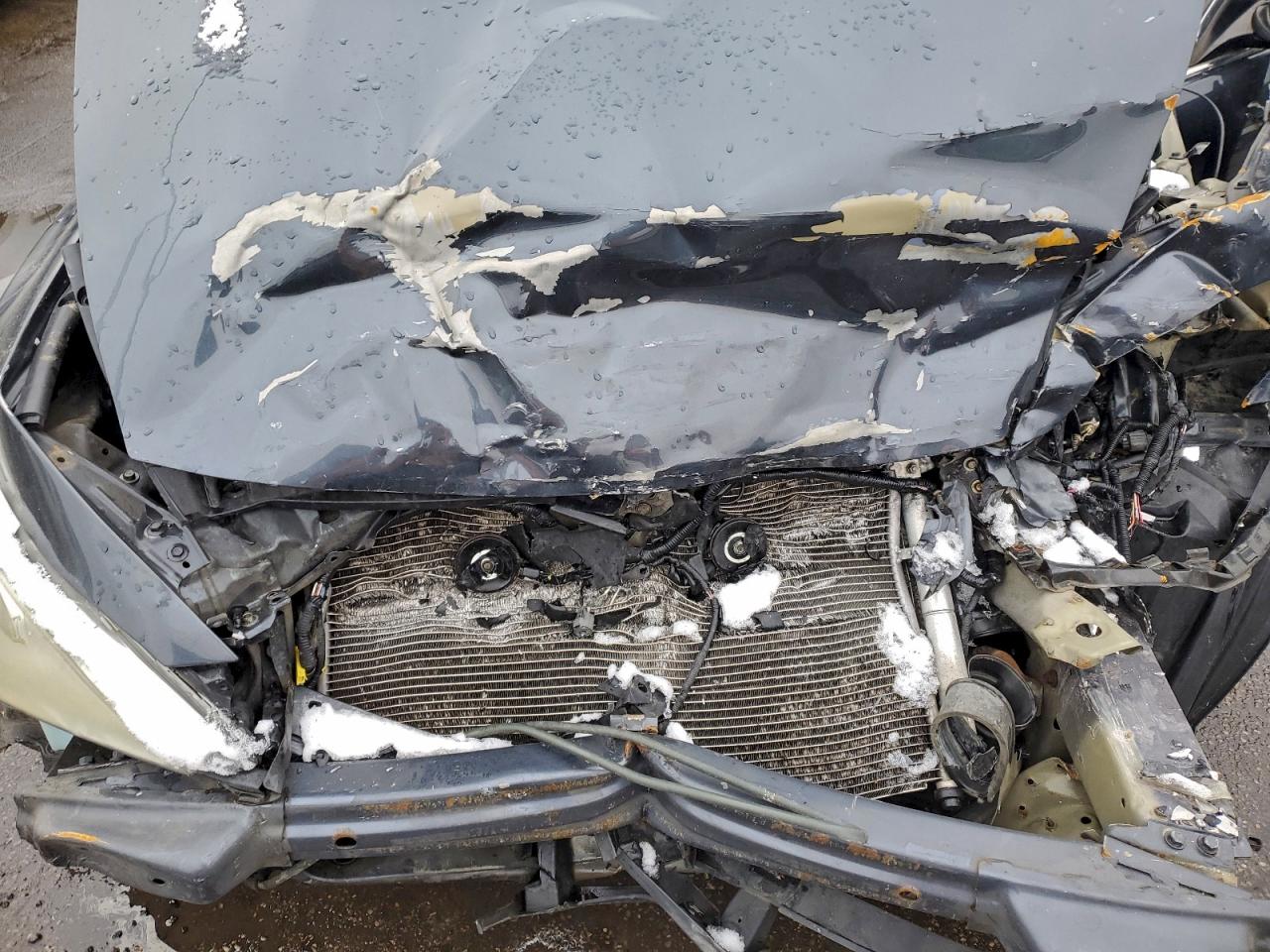 2006 HONDA ACCORD EX photo 11