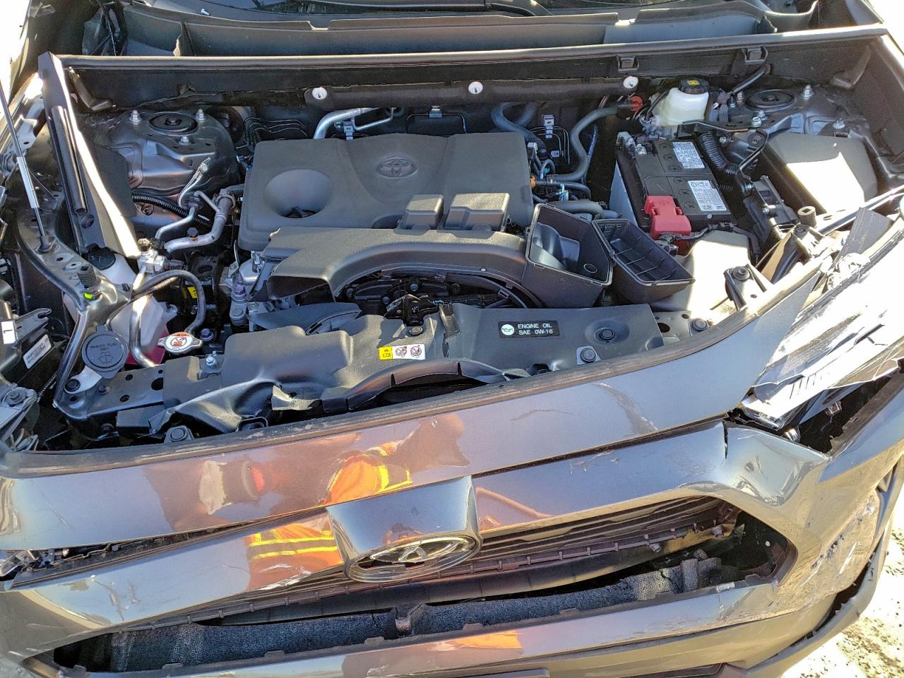 2025 TOYOTA RAV4 XLE photo 12