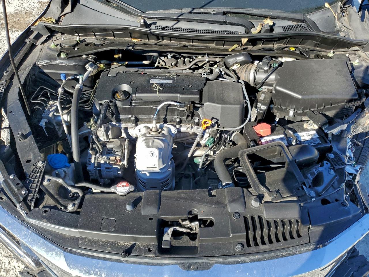 2017 HONDA ACCORD EX photo 11