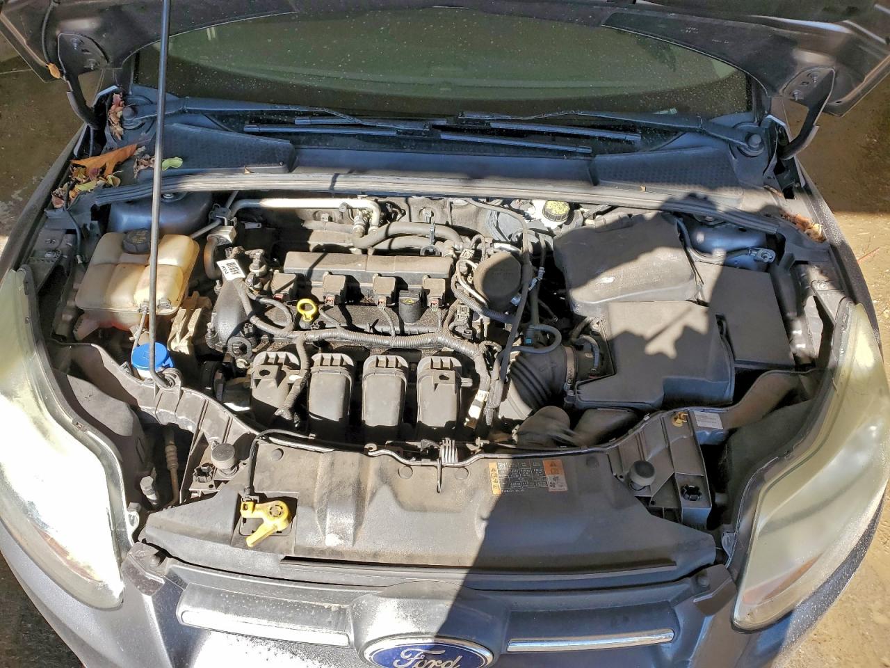 2014 FORD FOCUS SE photo 11