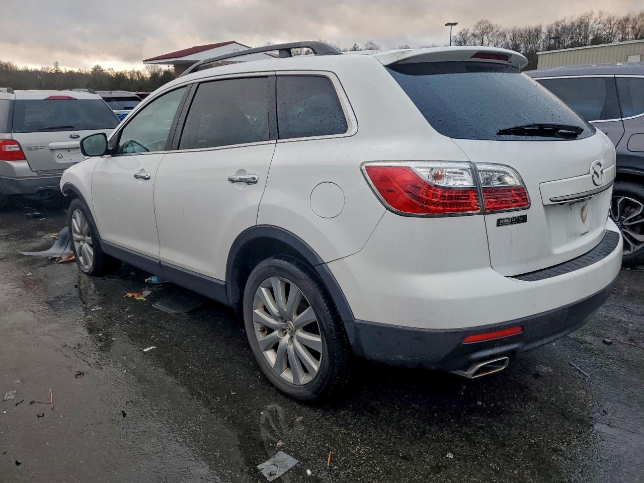 2010 MAZDA CX-9 photo 2