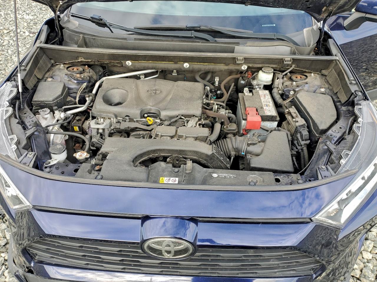 2019 TOYOTA RAV4 XLE photo 11