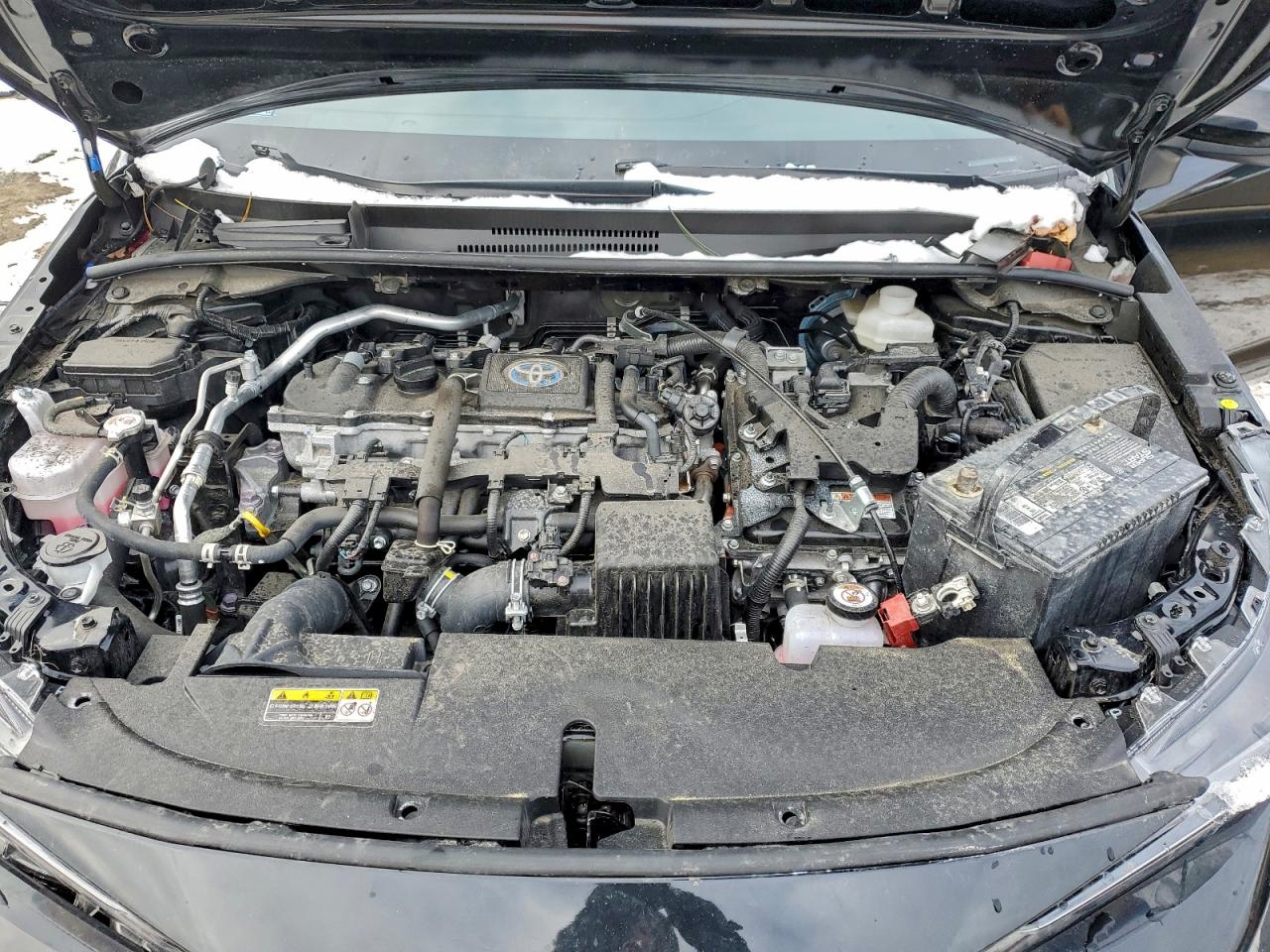 2024 TOYOTA COROLLA LE photo 11