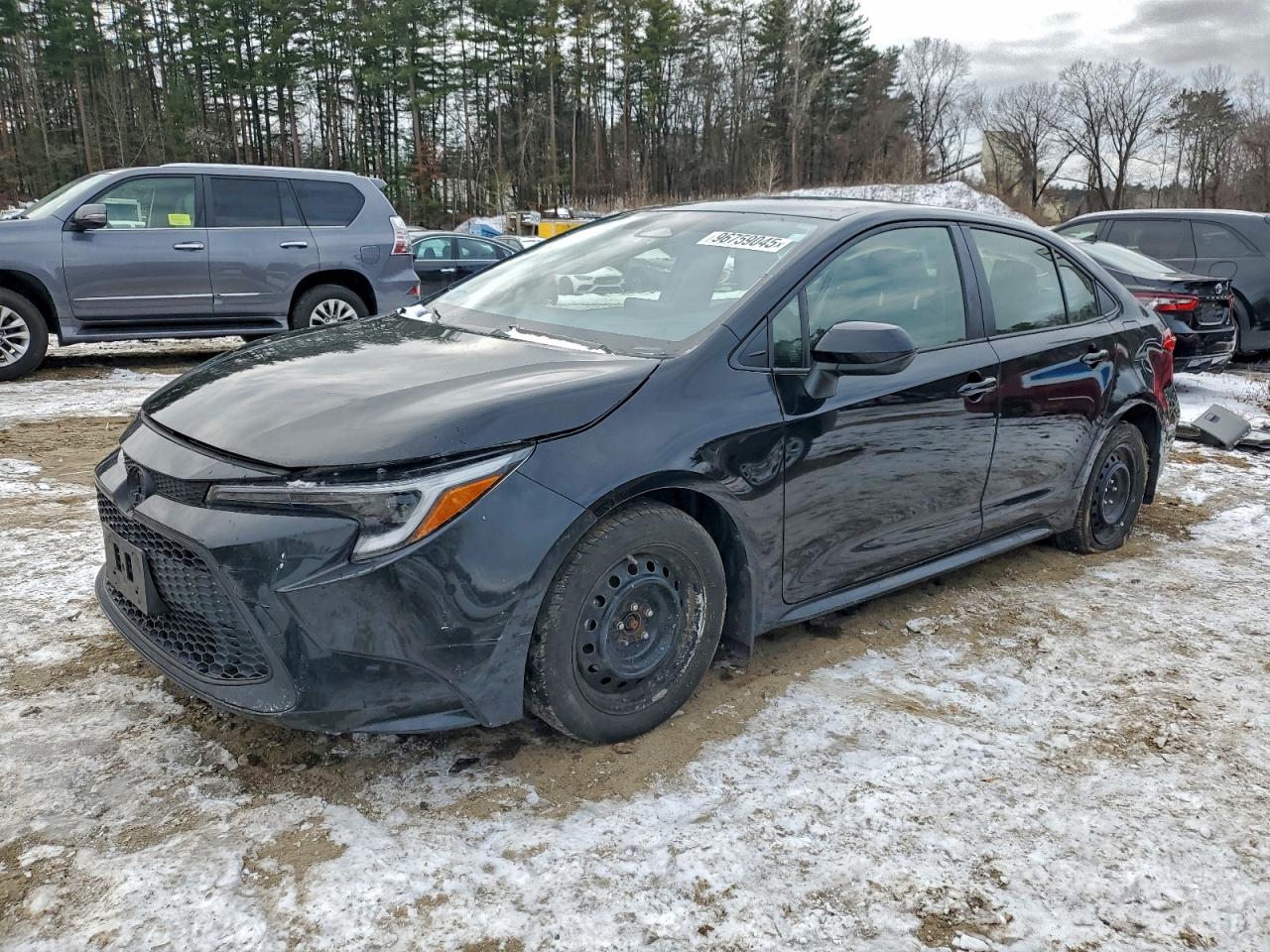 2024 TOYOTA COROLLA