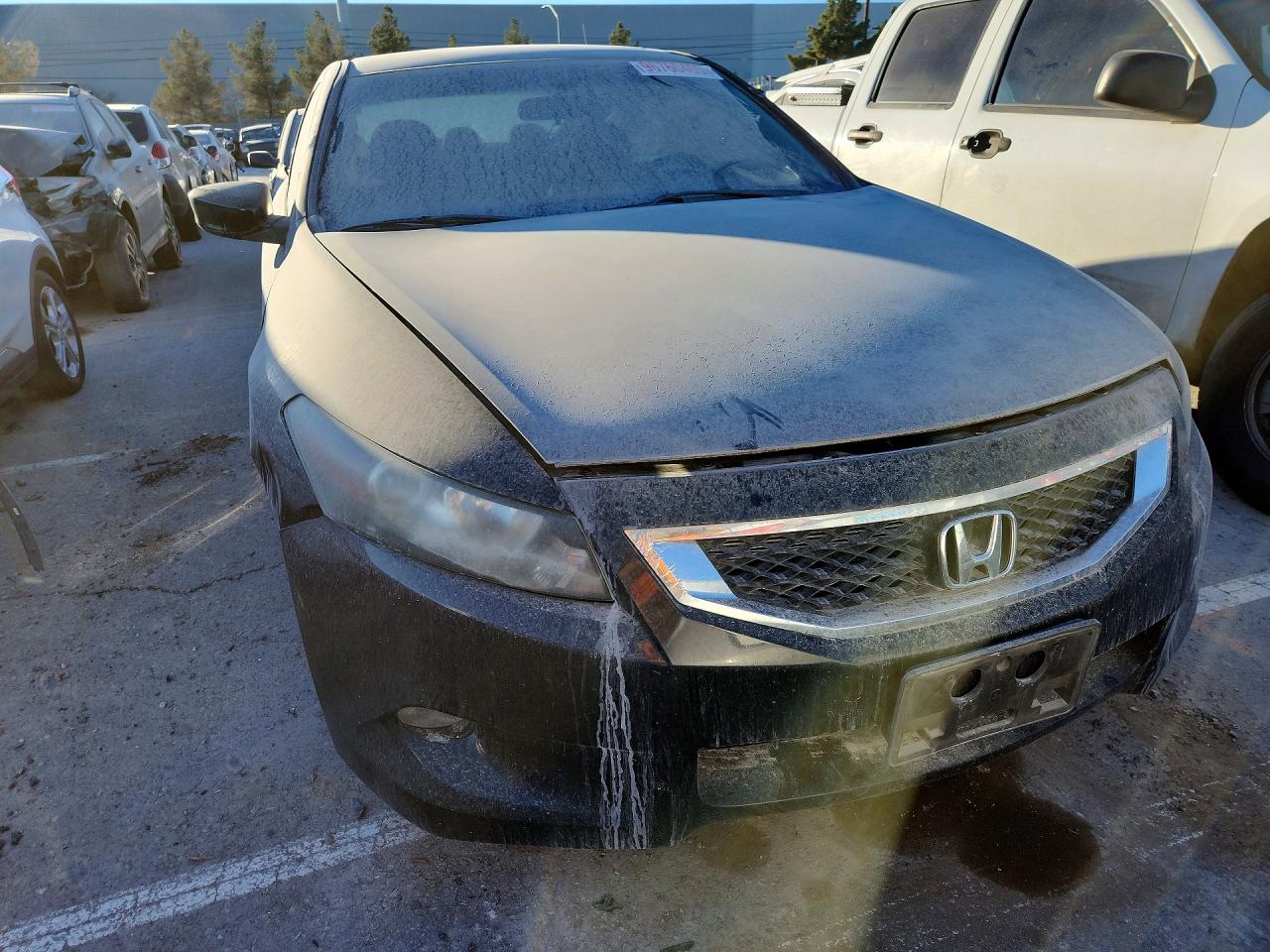 2009 HONDA ACCORD EXL photo 9