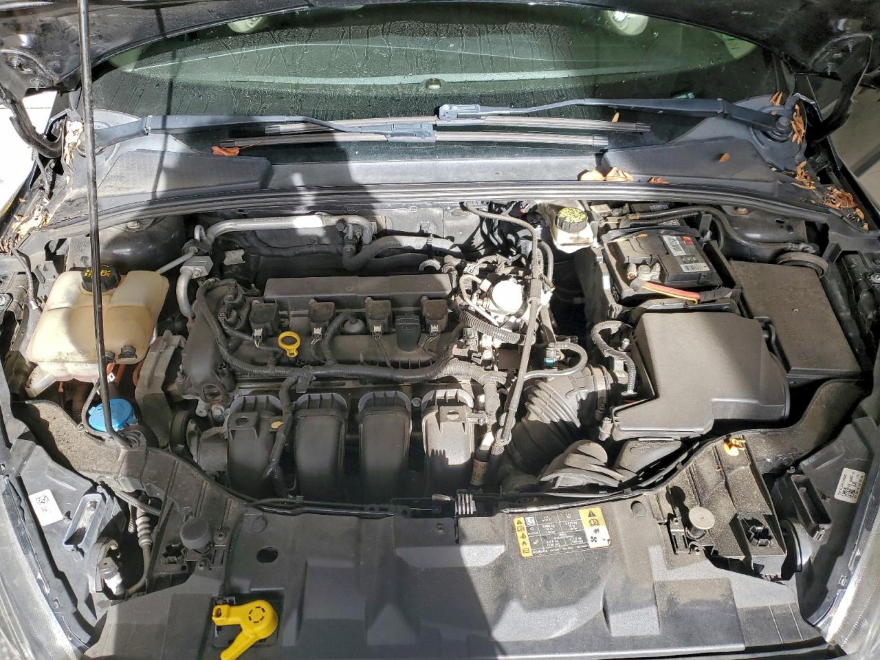 2017 FORD FOCUS SE photo 11