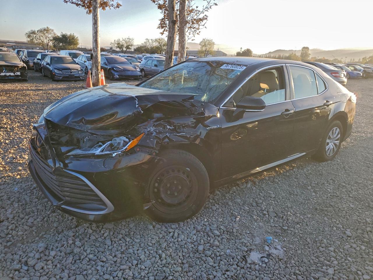 2021 TOYOTA CAMRY