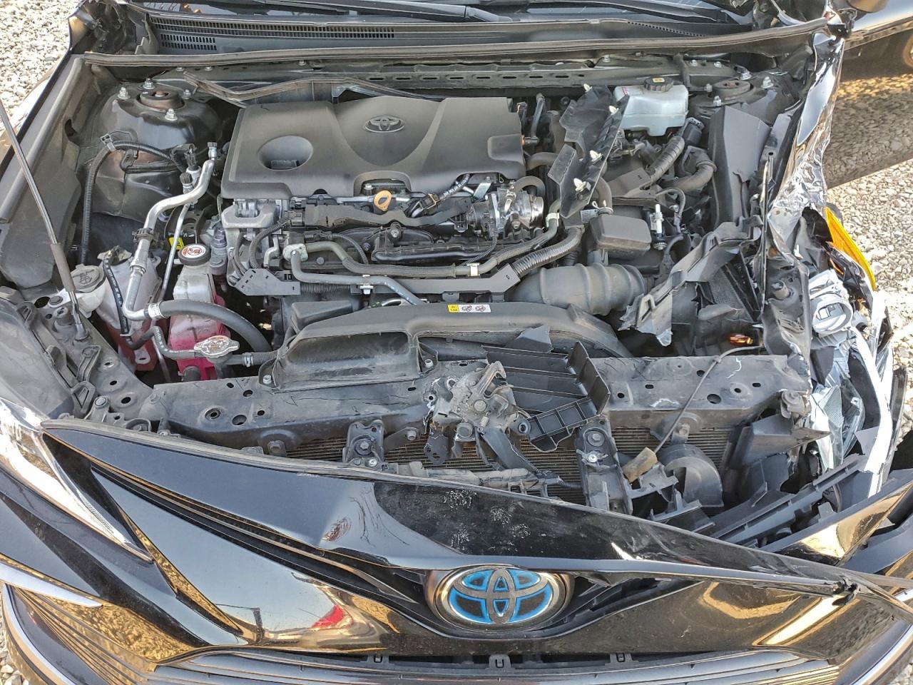 2021 TOYOTA CAMRY LE photo 11