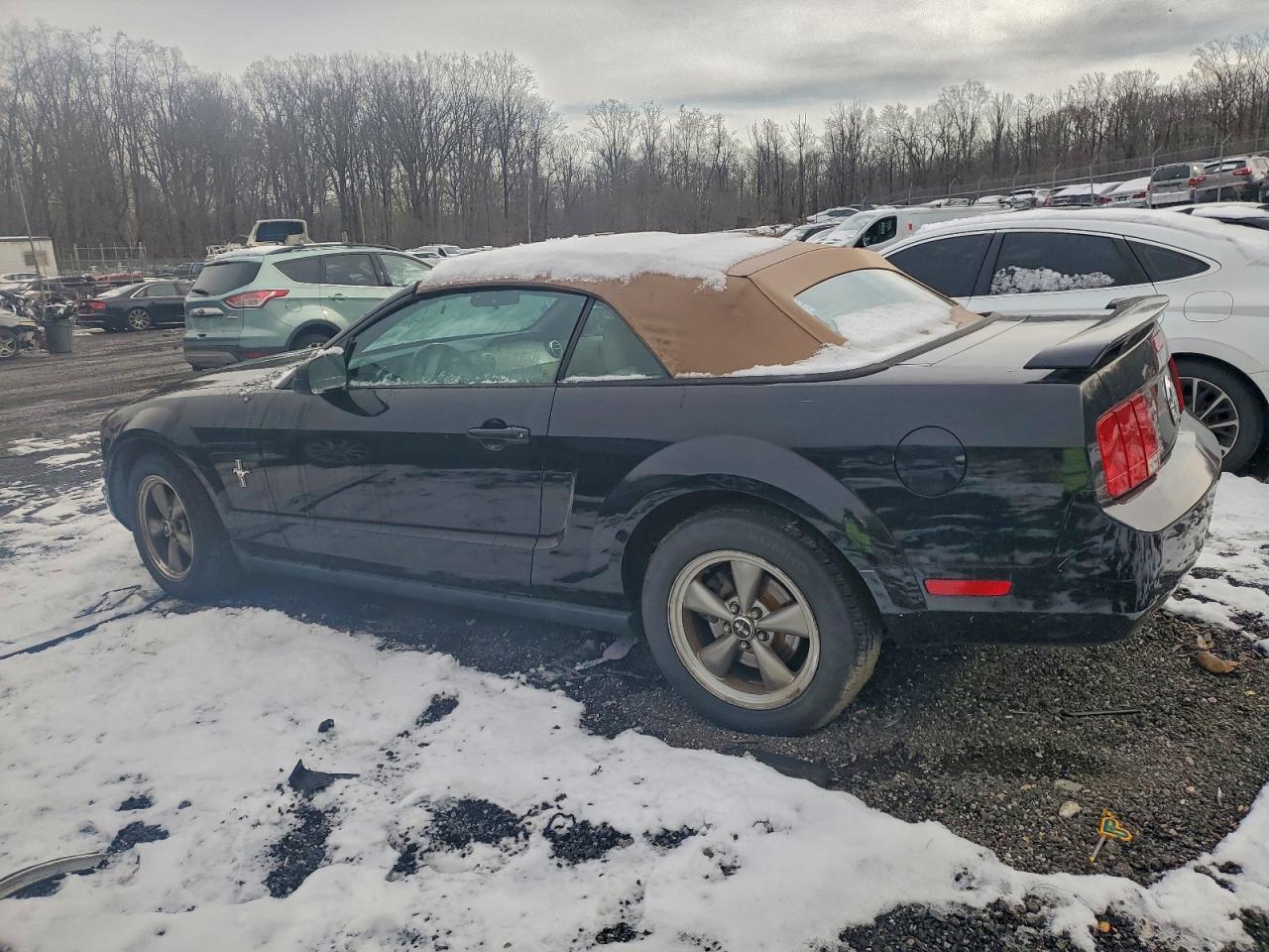 2006 FORD MUSTANG photo 2