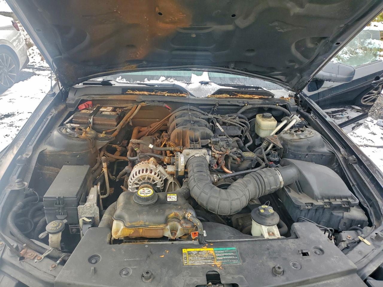2006 FORD MUSTANG photo 11