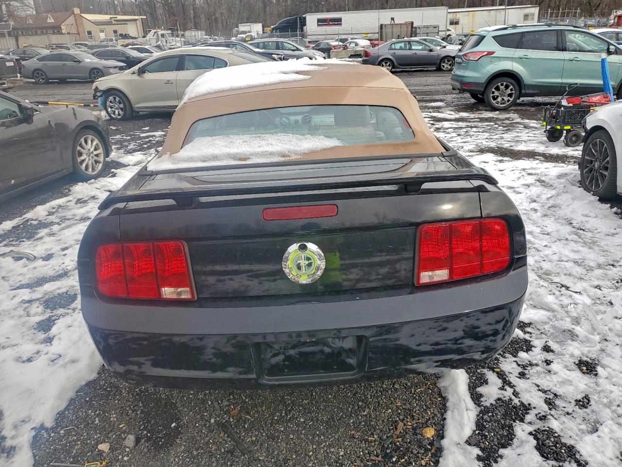 2006 FORD MUSTANG photo 6