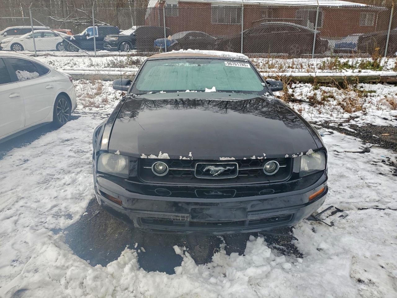 2006 FORD MUSTANG photo 5