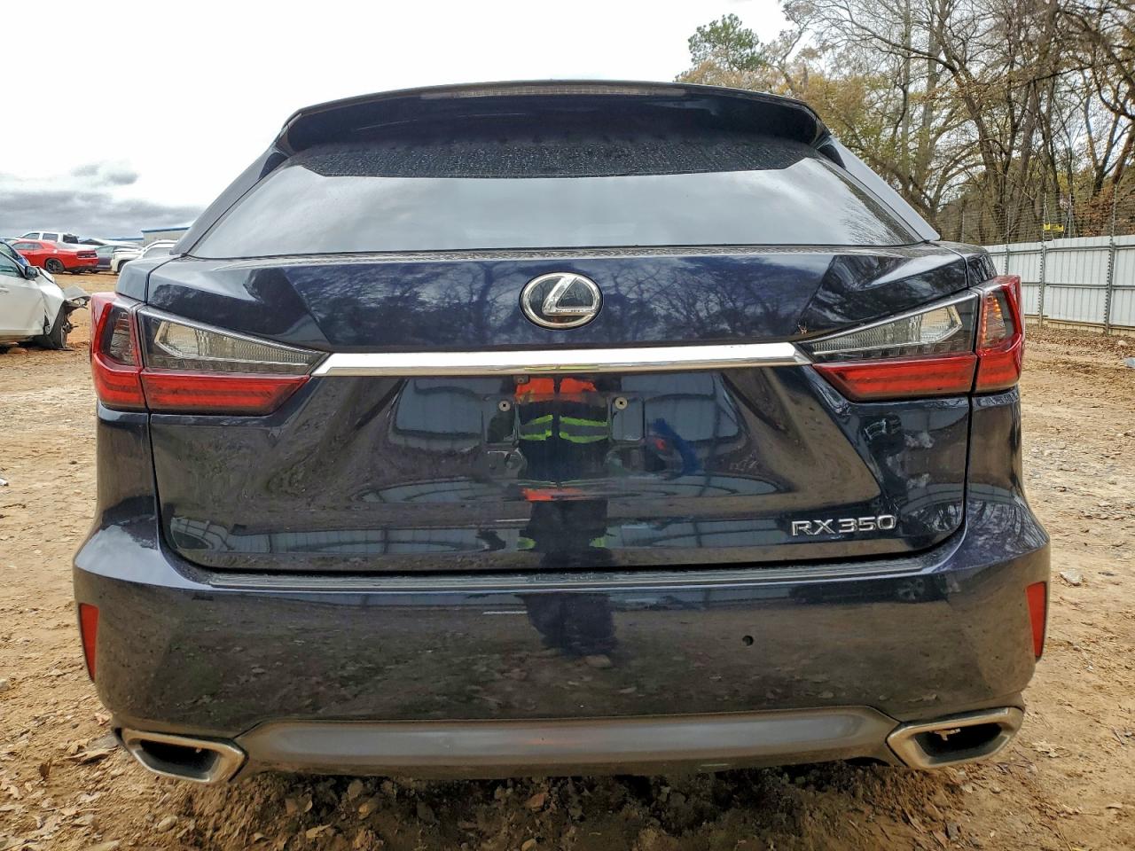 2019 LEXUS RX 350 BASE photo 6