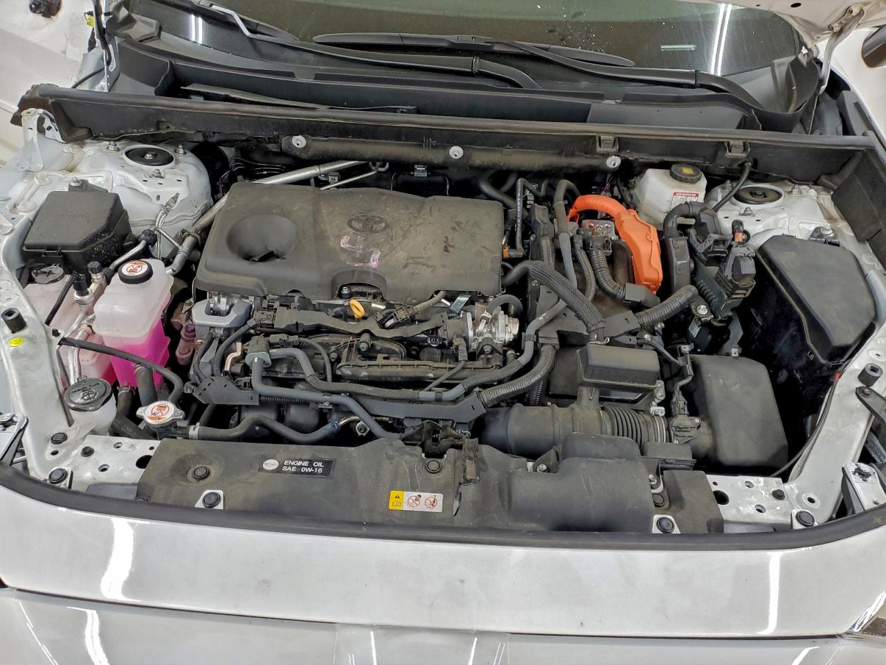2024 TOYOTA RAV4 XLE photo 12