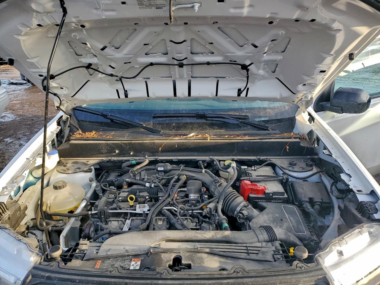 2024 FORD MAVERICK XLT photo 11