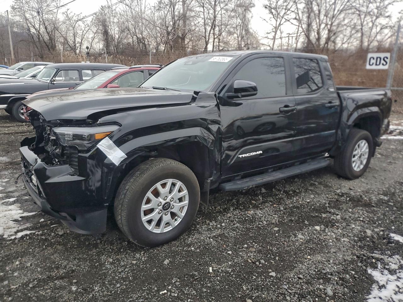 2024 TOYOTA TACOMA DOUBLE CAB — ALL OVER damage — photo 1