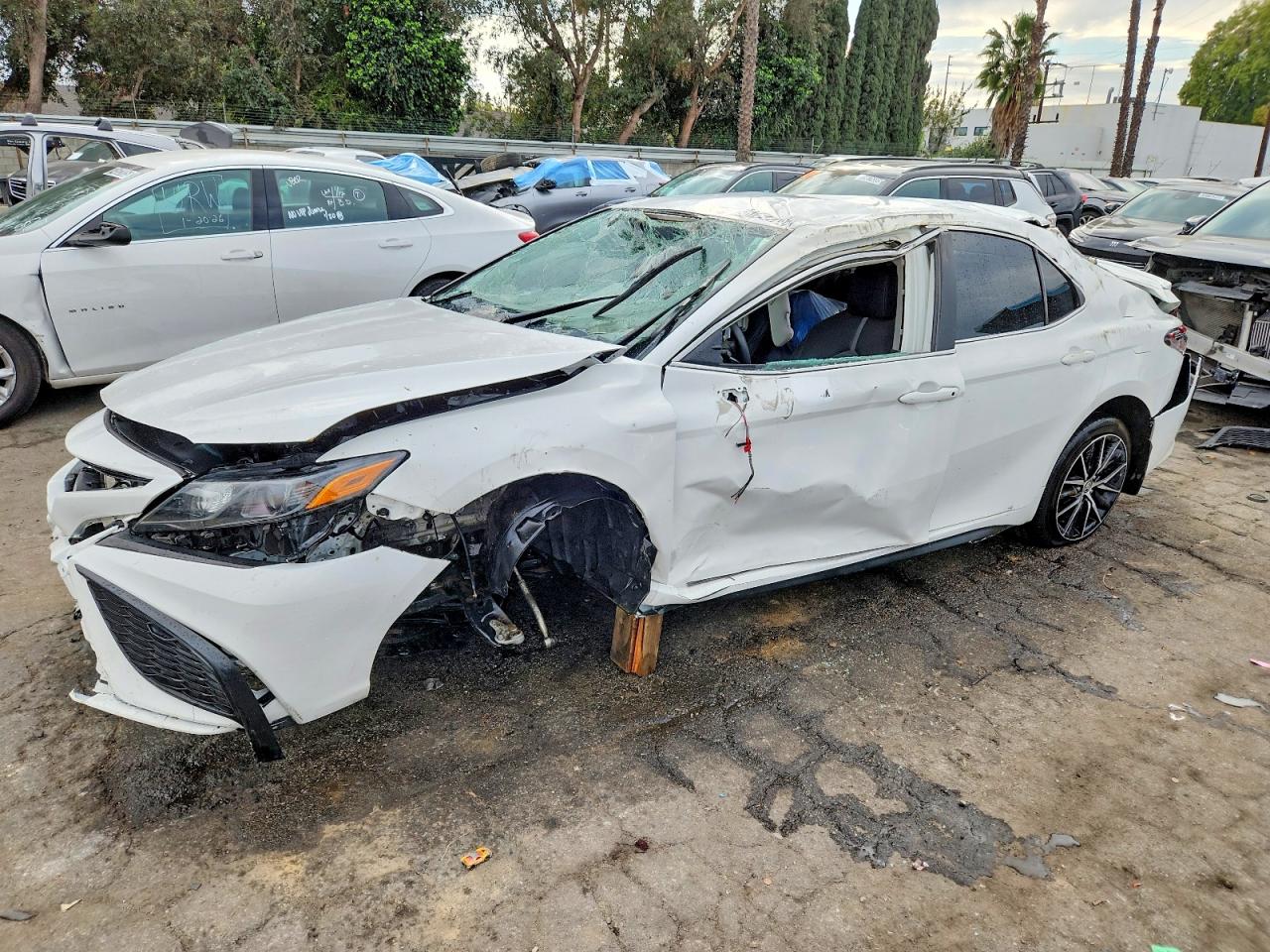 2024 TOYOTA CAMRY