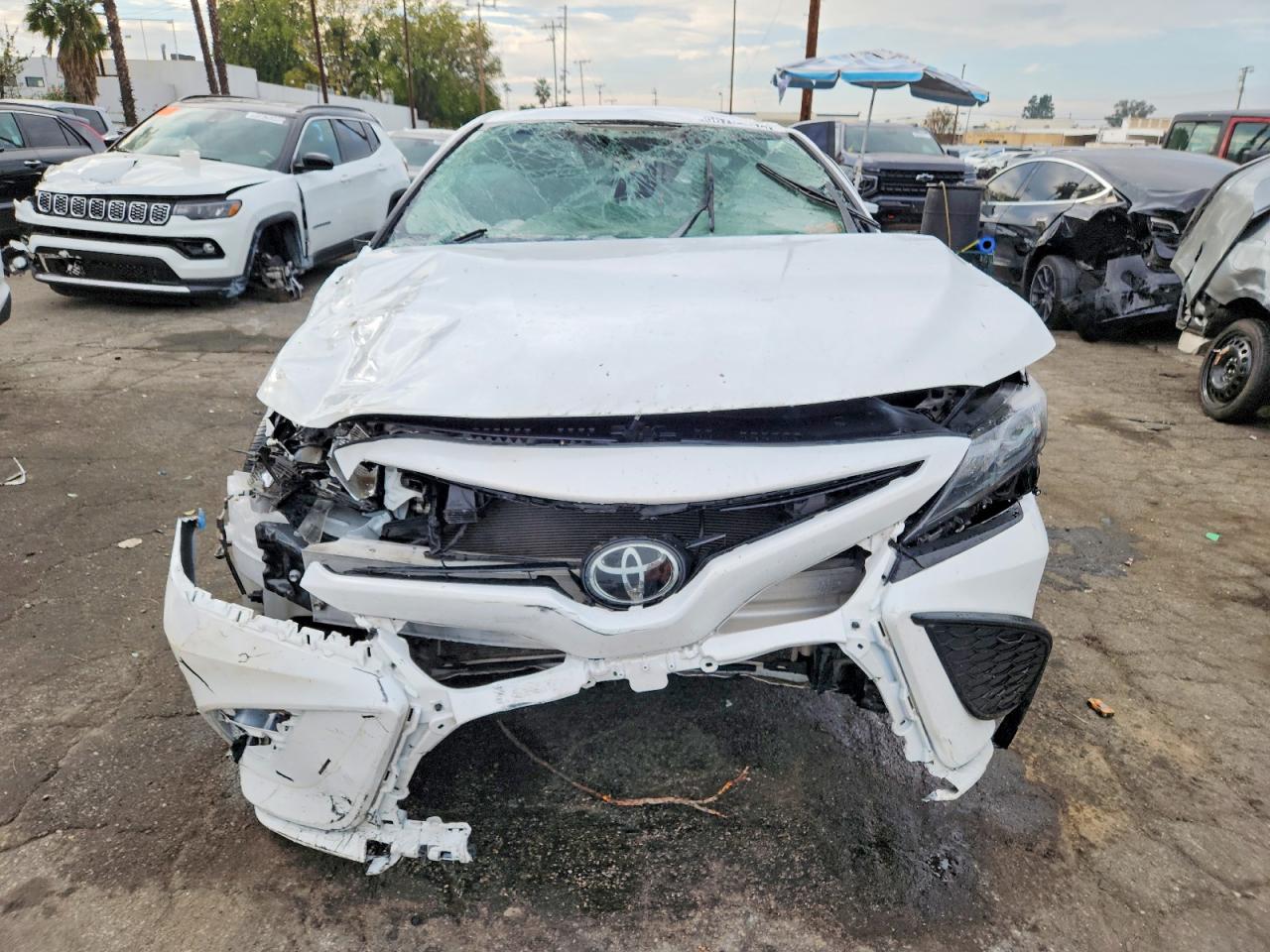 2024 TOYOTA CAMRY SE NIGHT SHADE photo 5
