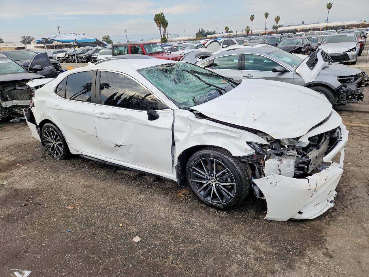 2024 TOYOTA CAMRY SE NIGHT SHADE photo 4