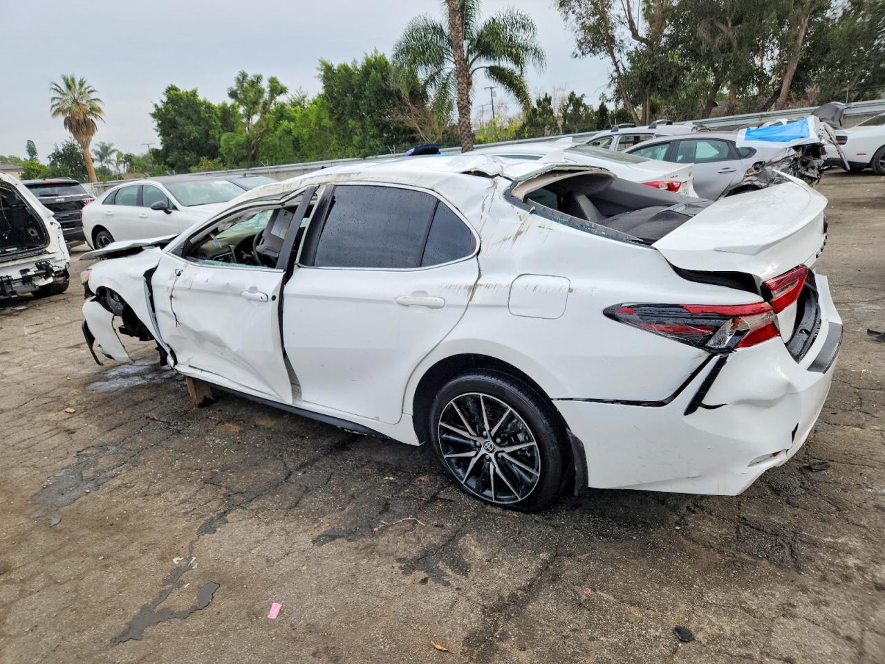 2024 TOYOTA CAMRY SE NIGHT SHADE photo 2