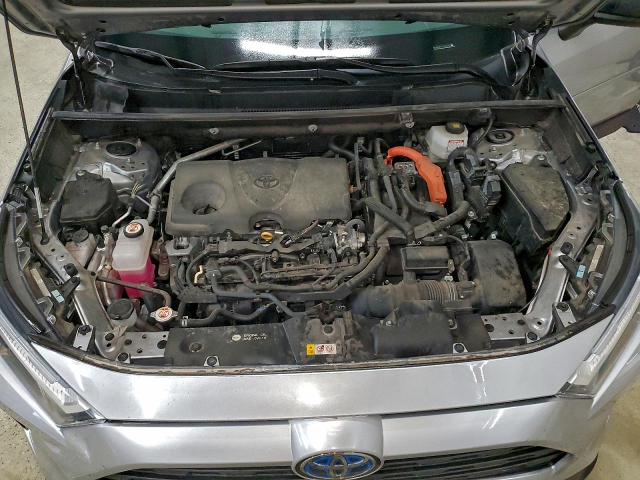 2024 TOYOTA RAV4 LE photo 12