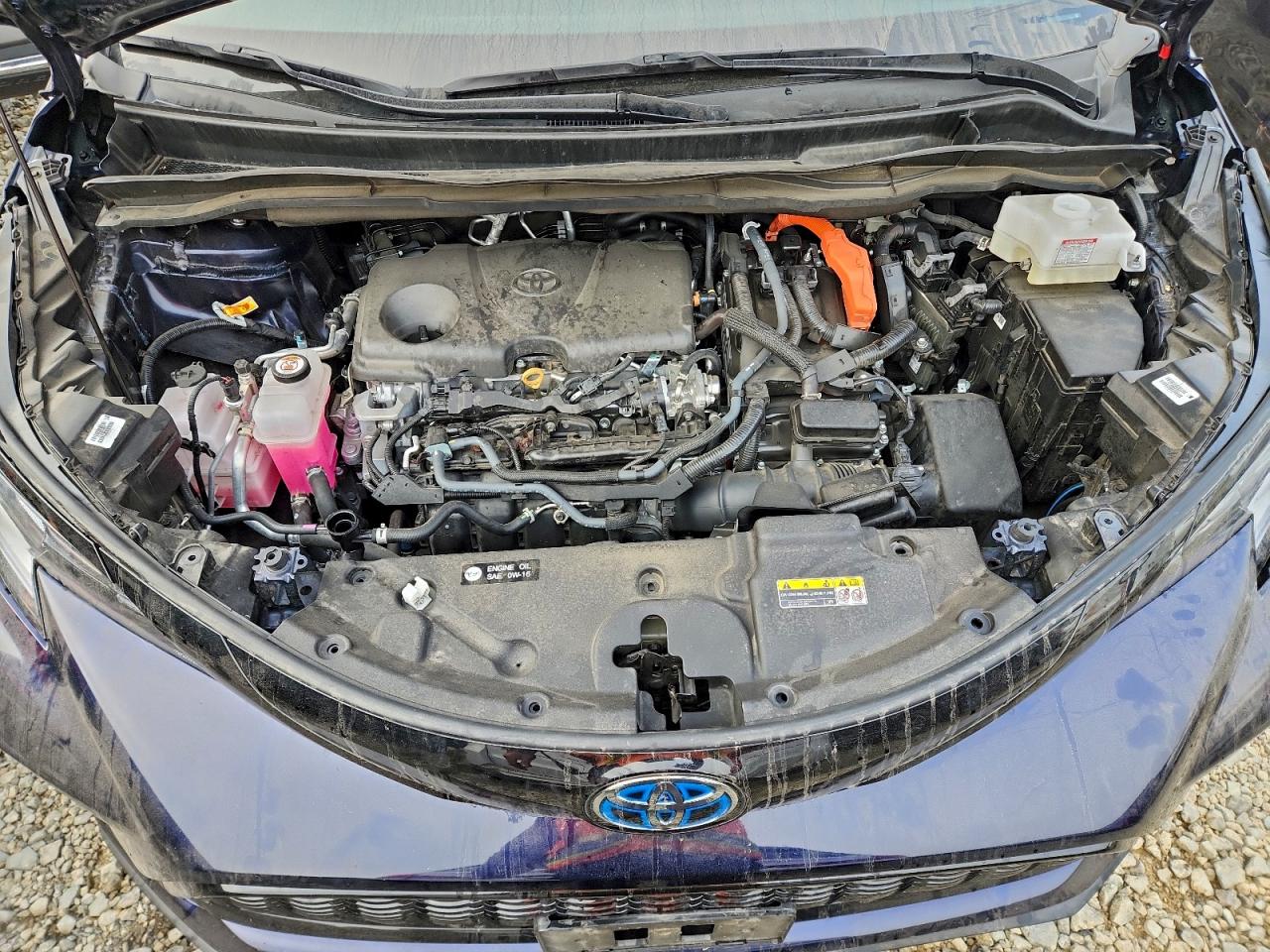 2025 TOYOTA SIENNA XSE photo 12