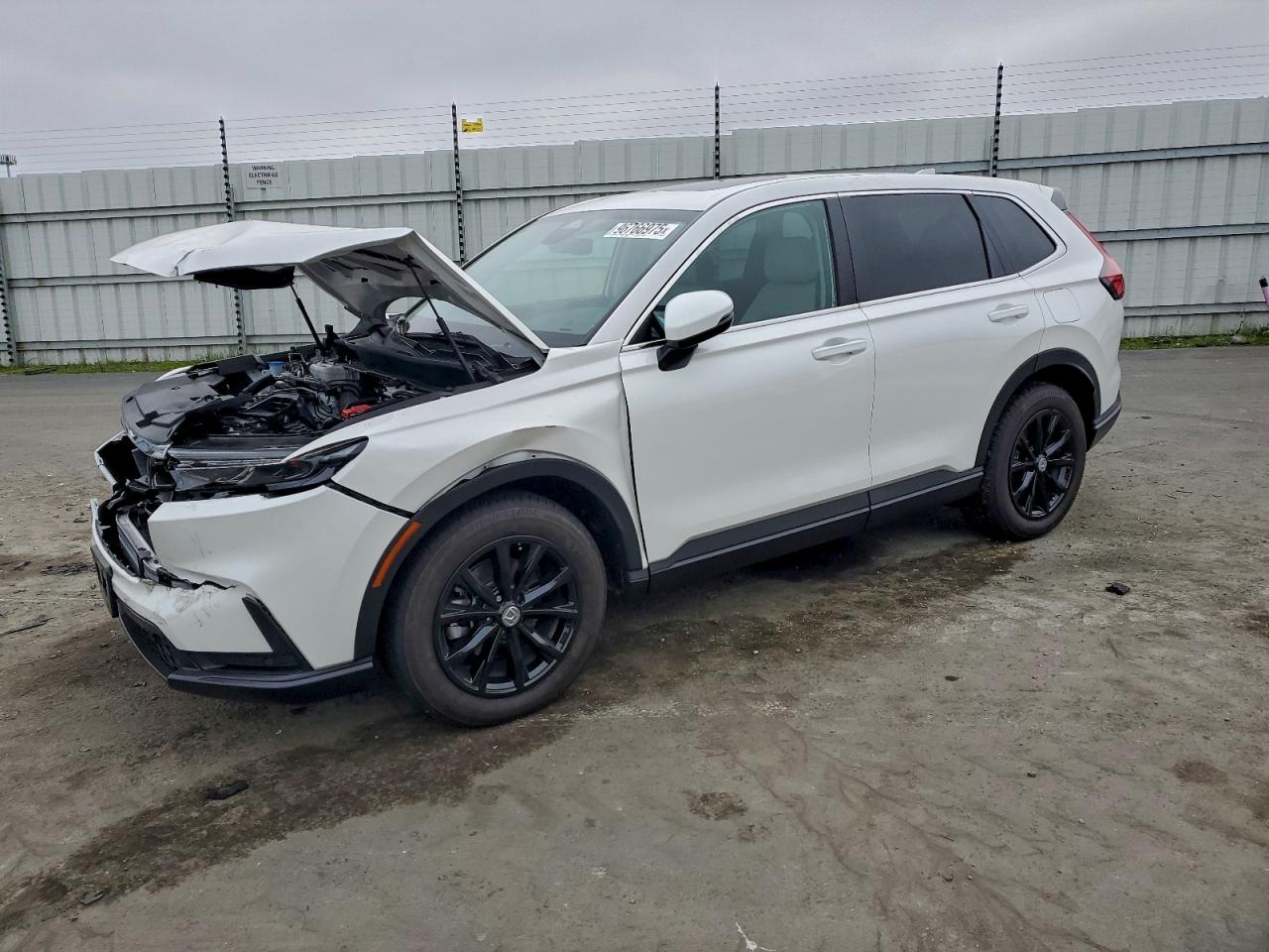 2025 HONDA CR-V