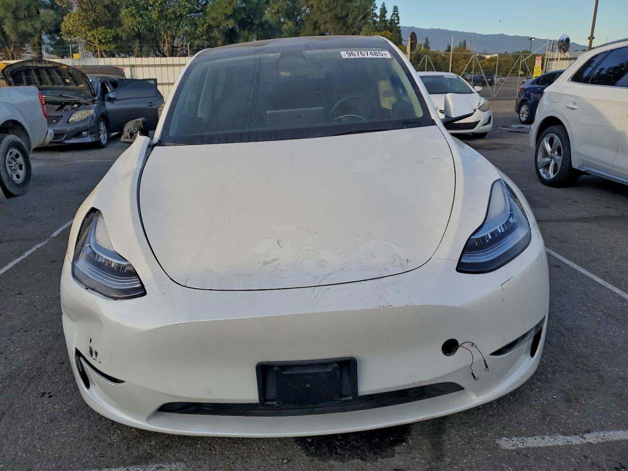2021 TESLA MODEL Y photo 5