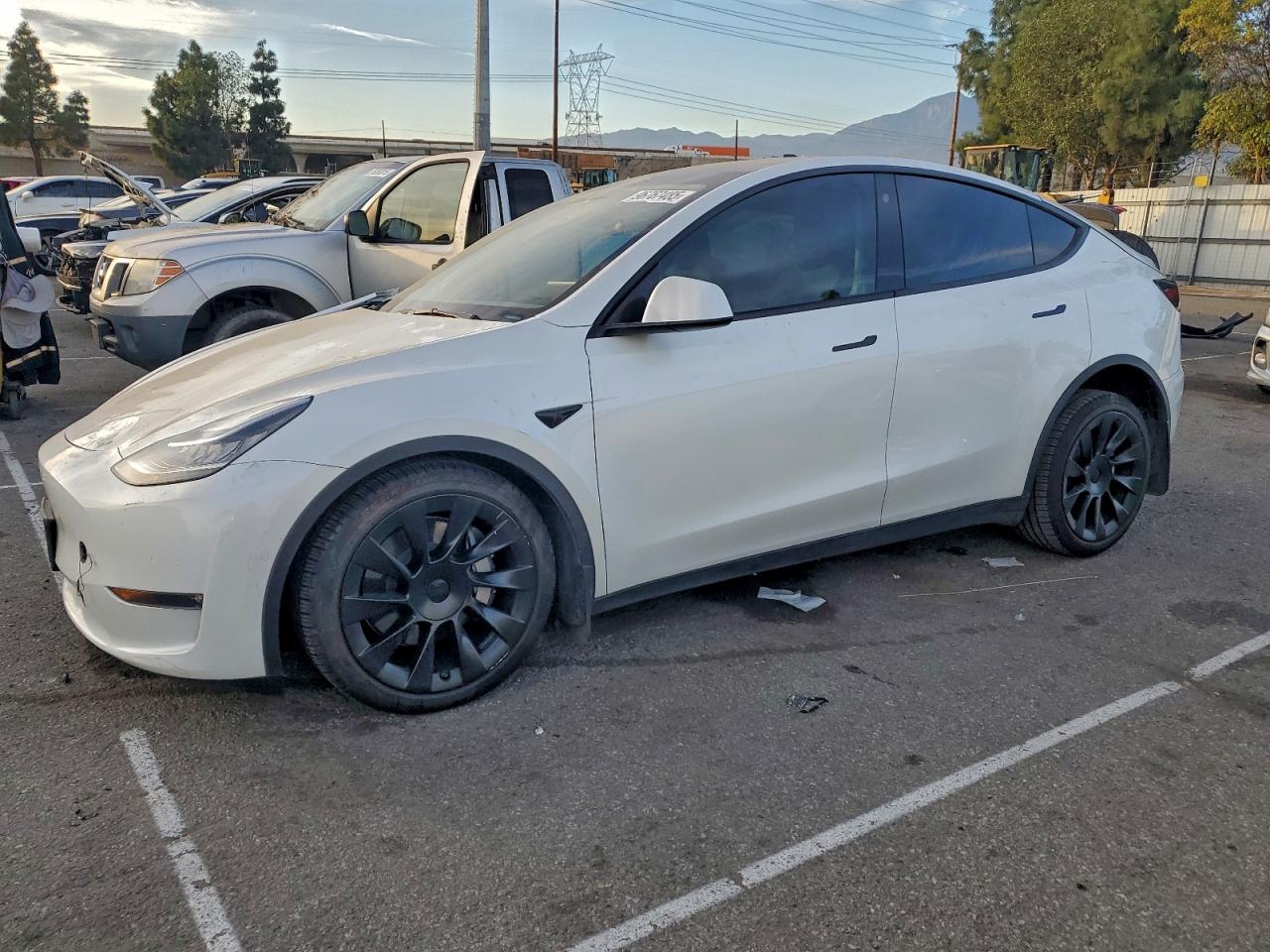 2021 TESLA MODEL Y