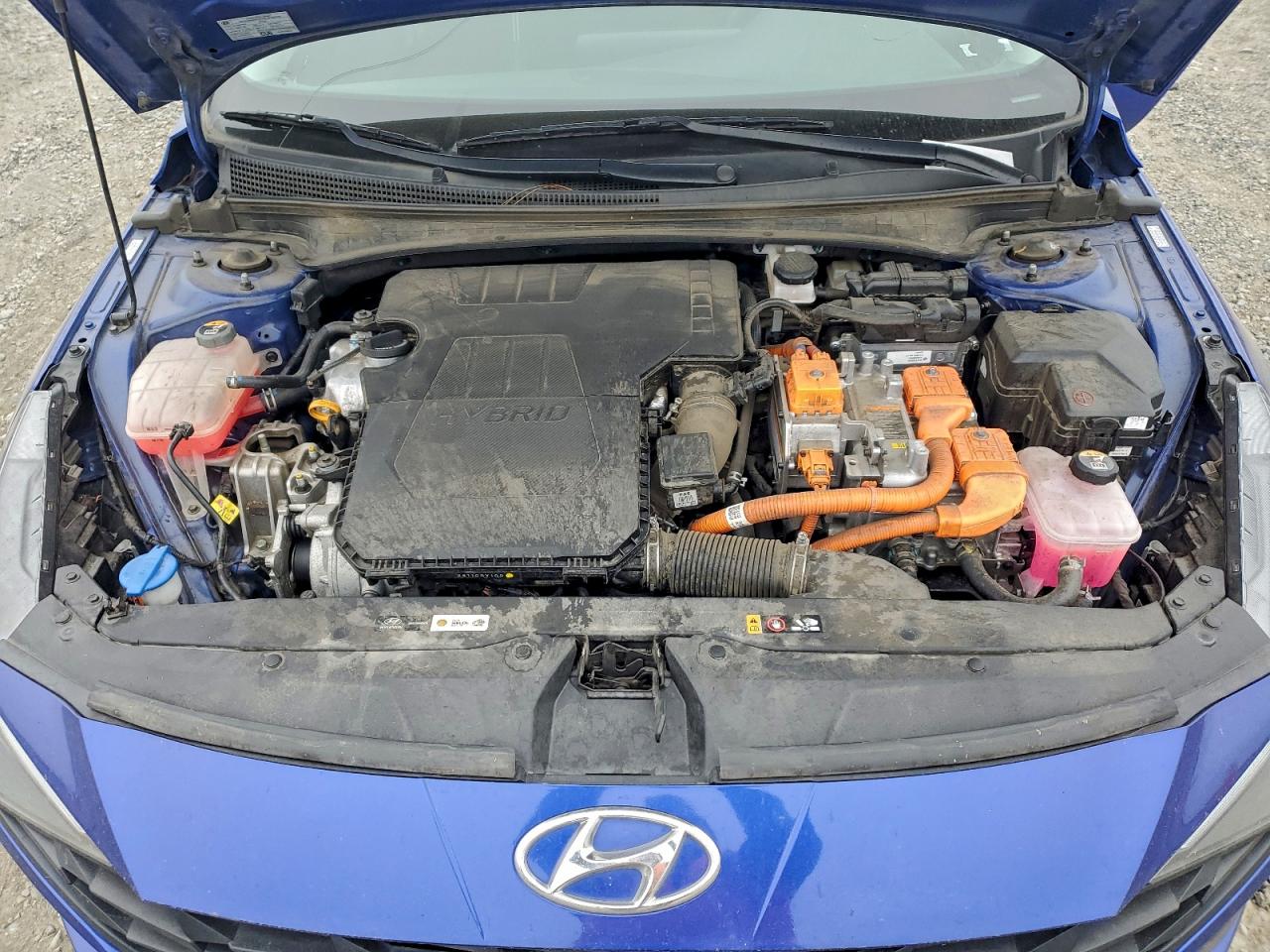 2023 HYUNDAI ELANTRA BLUE photo 11