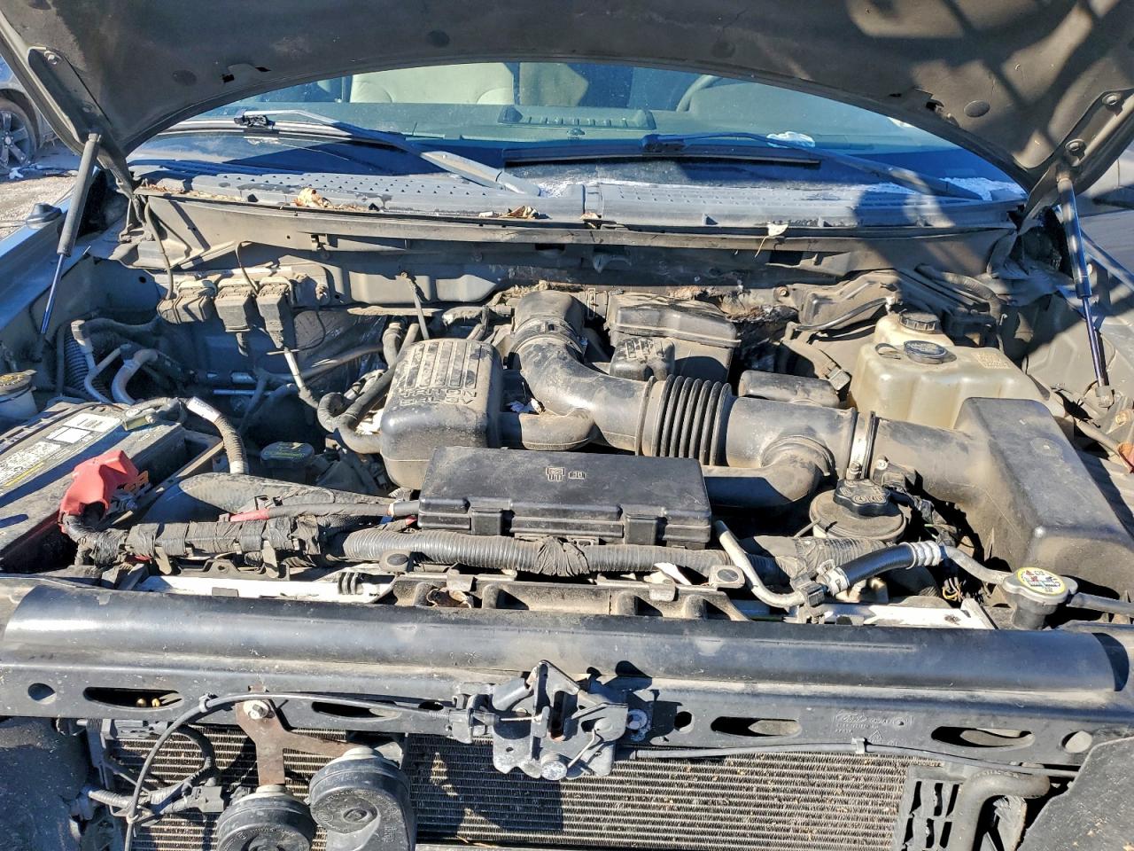 2010 FORD F150 SUPERCREW photo 11