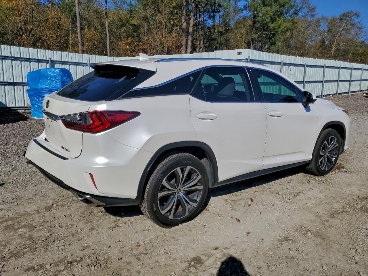 2019 LEXUS RX 350 BASE photo 3