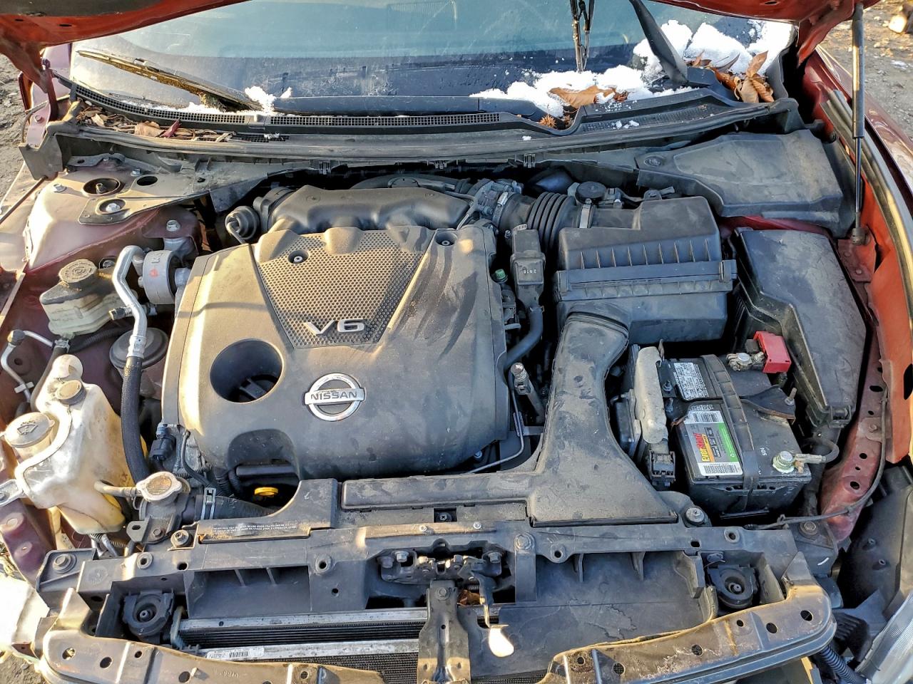 2013 NISSAN MAXIMA S photo 11
