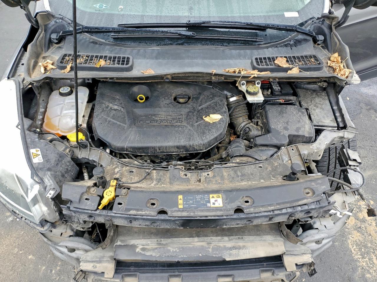 2014 FORD ESCAPE TITANIUM photo 12