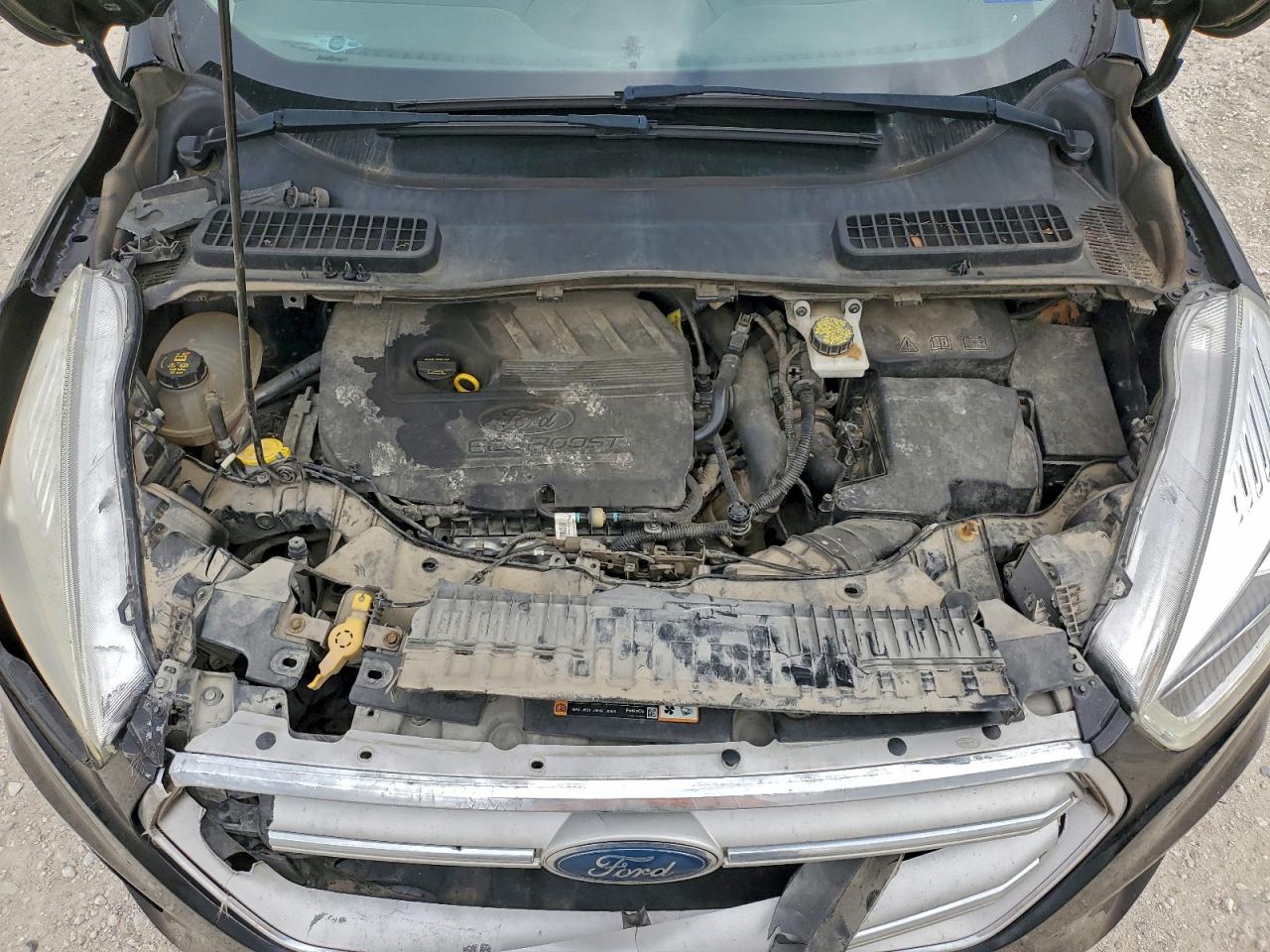2018 FORD ESCAPE SEL photo 12