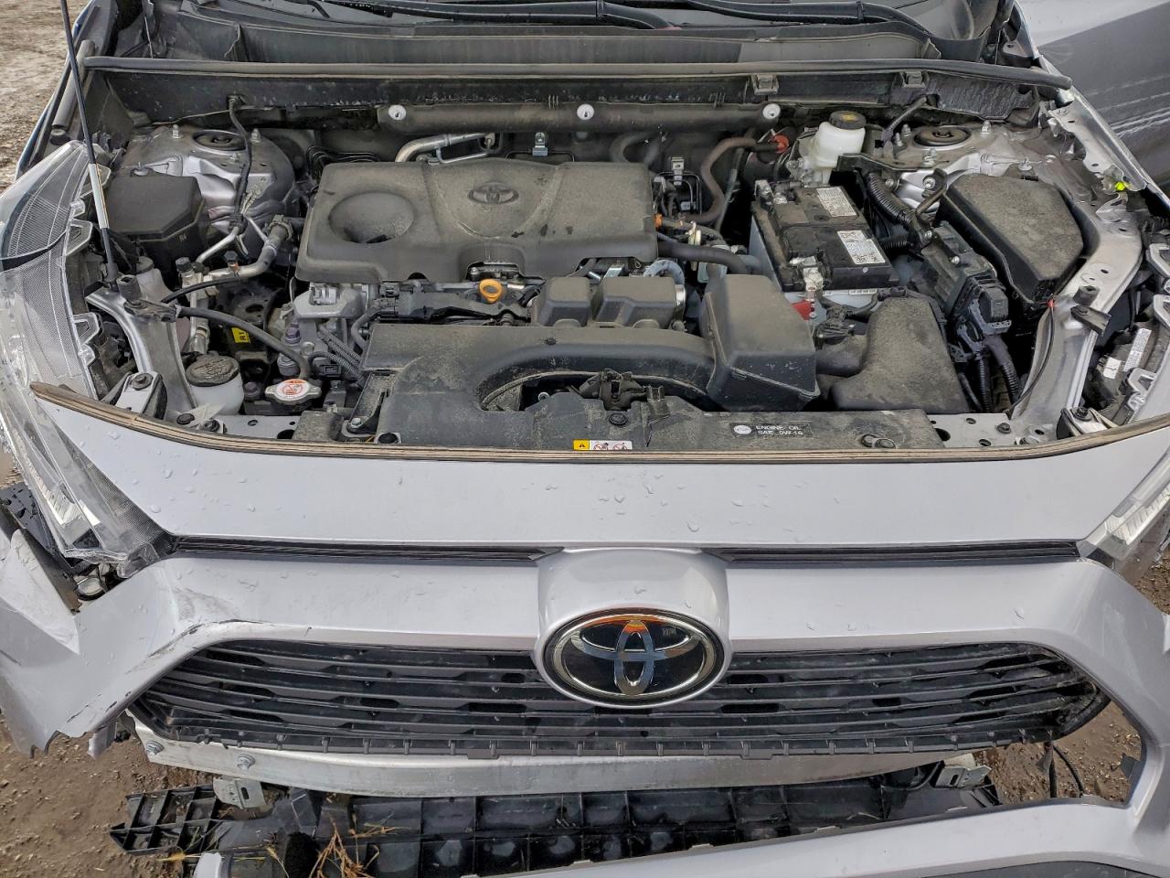 2024 TOYOTA RAV4 XLE photo 12