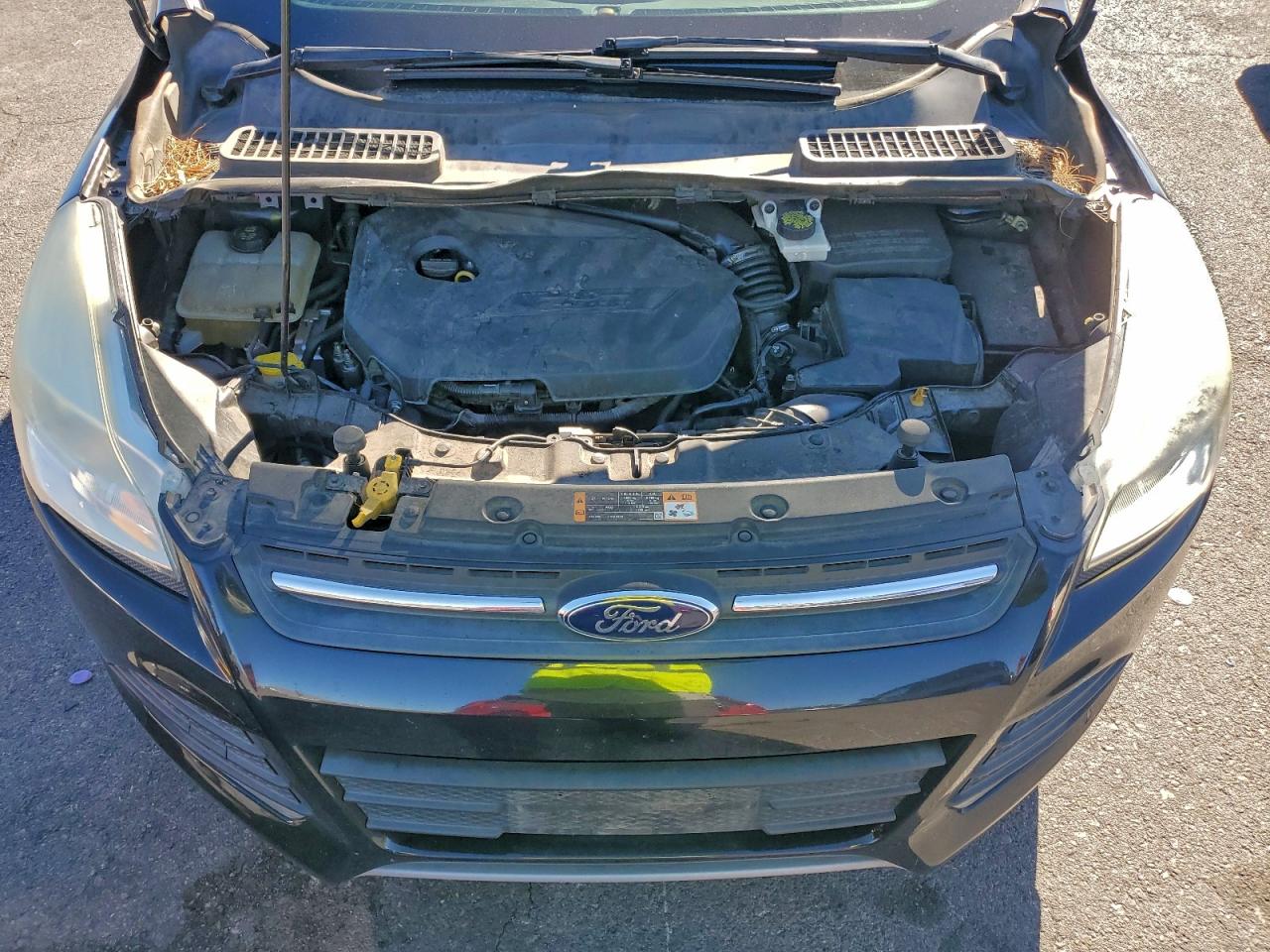 2014 FORD ESCAPE SE photo 12