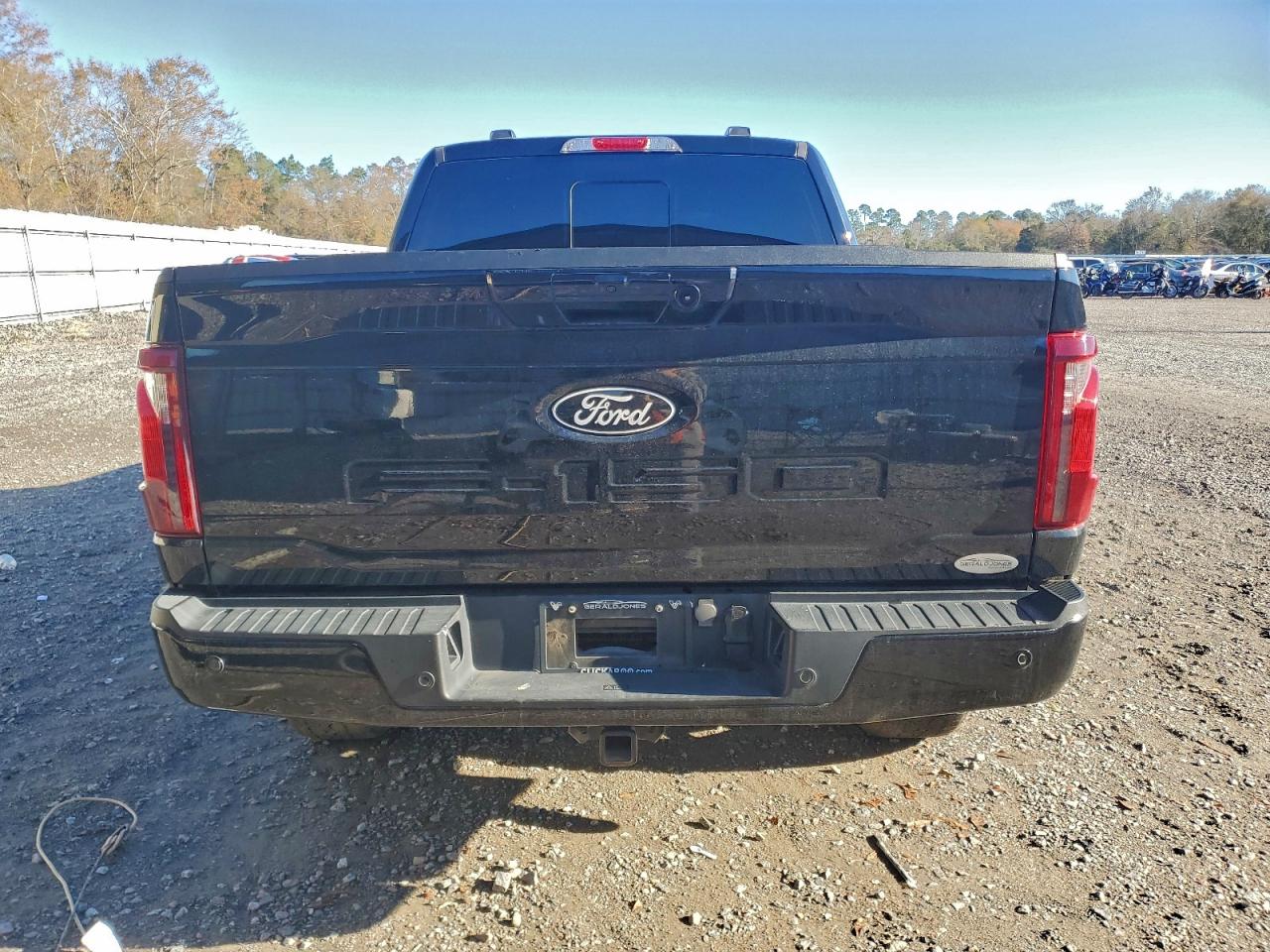 2024 FORD F150 XLT photo 6