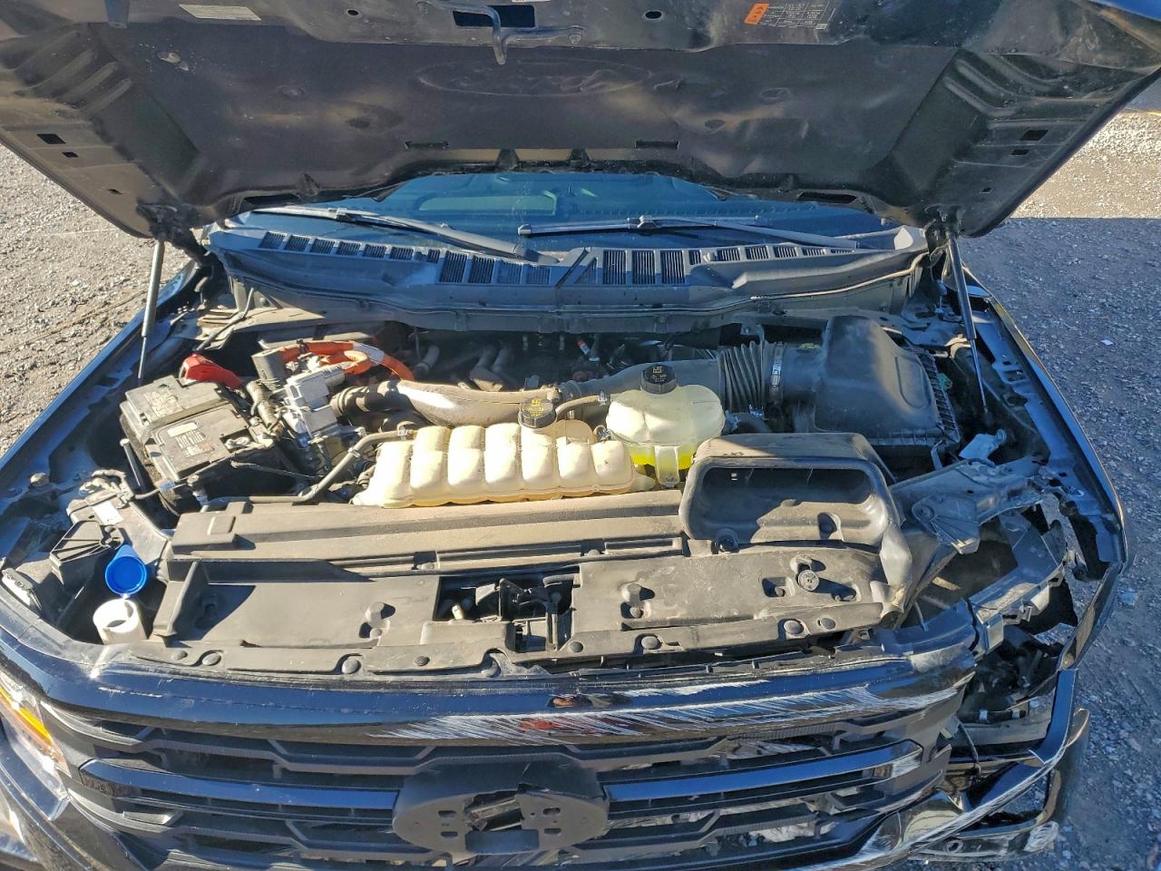 2024 FORD F150 XLT photo 11