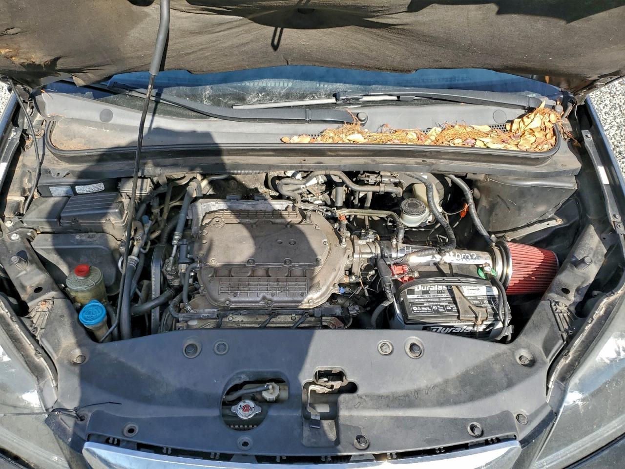 2006 HONDA ODYSSEY EXL photo 12
