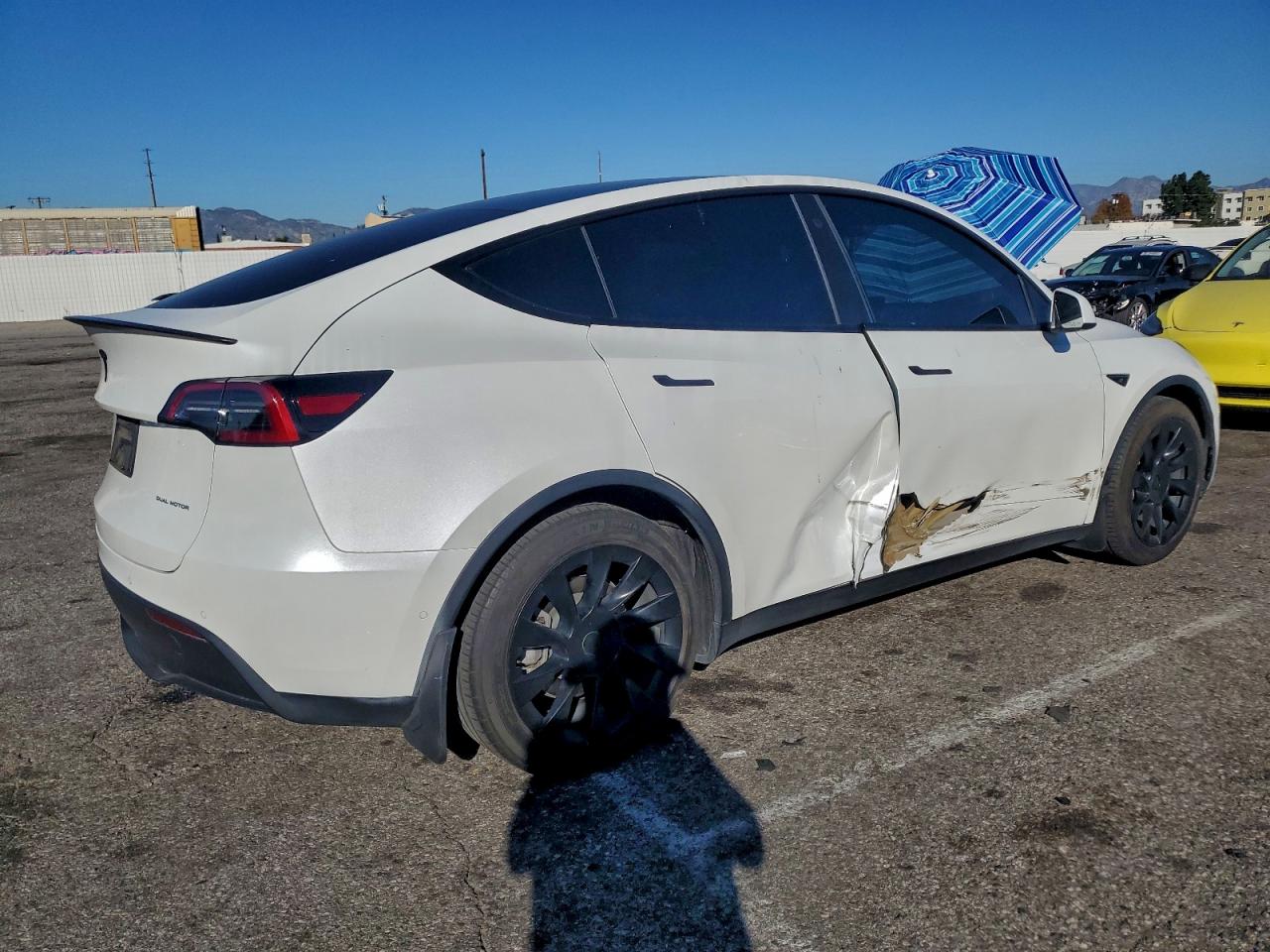 2021 TESLA MODEL Y photo 3