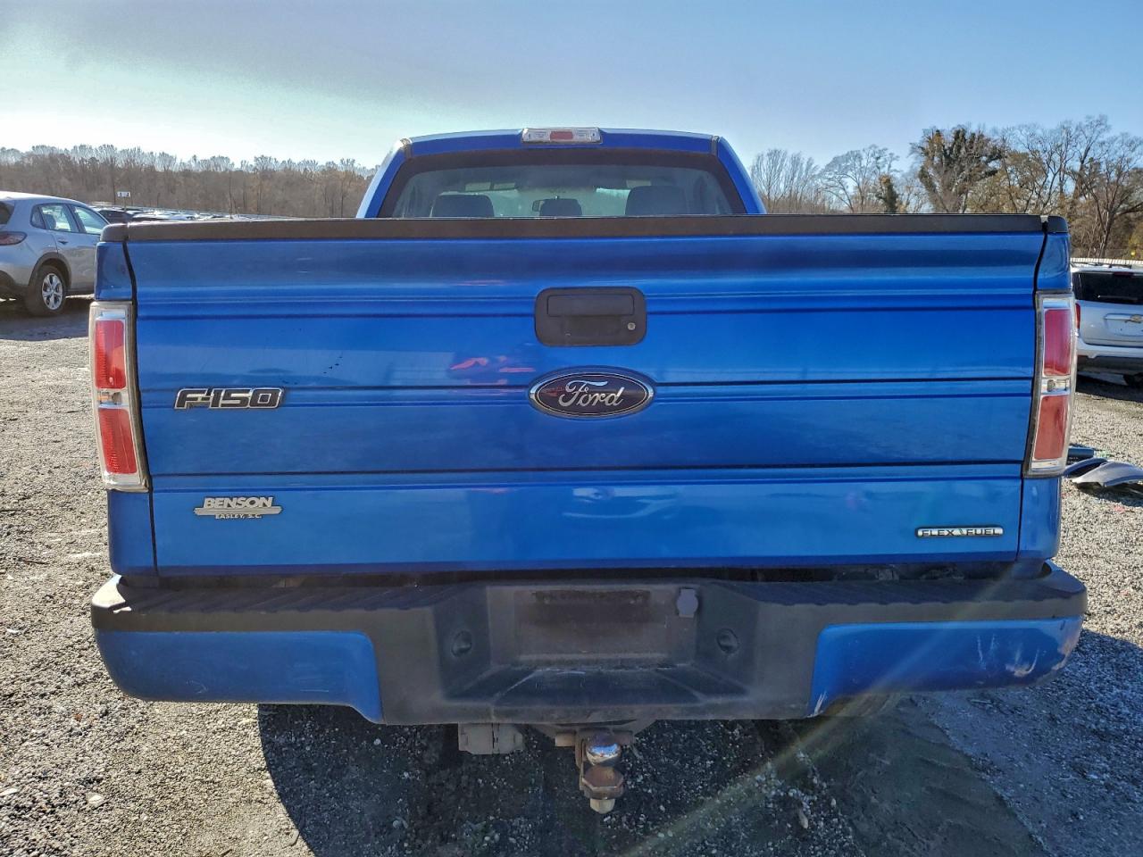 2014 FORD F150 photo 11